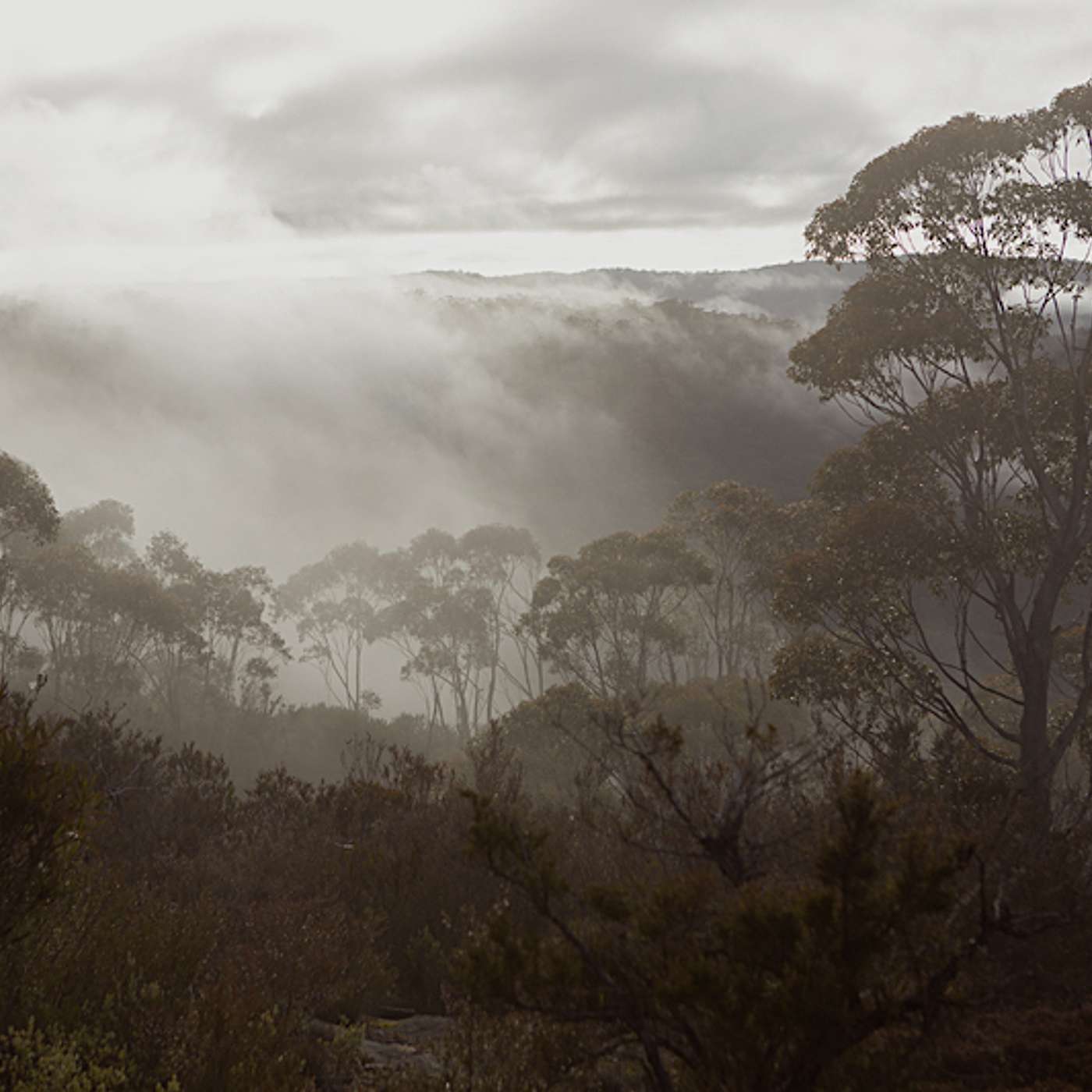 Episode 1 - The Lithgow Panther