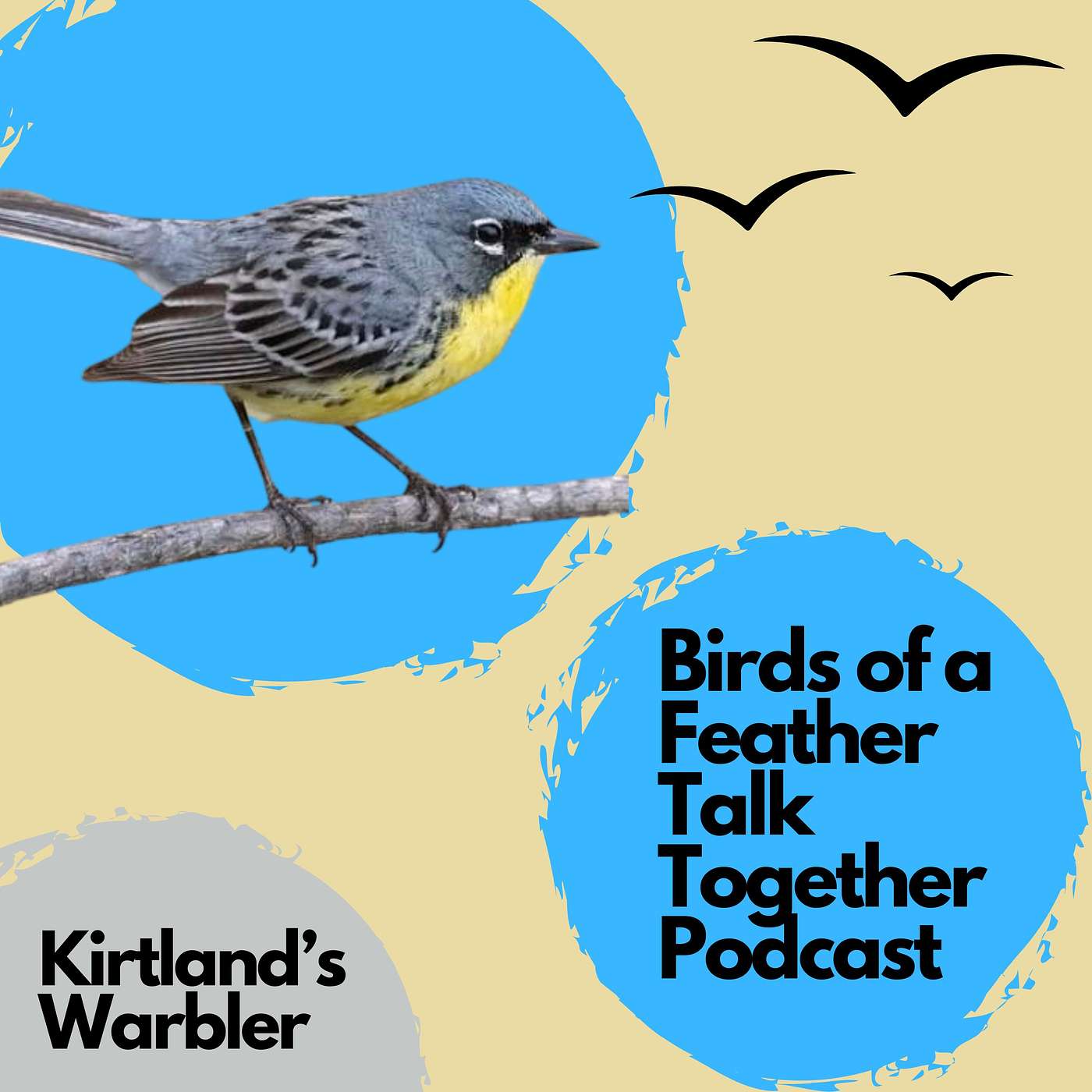 Birds of a Feather Talk Together