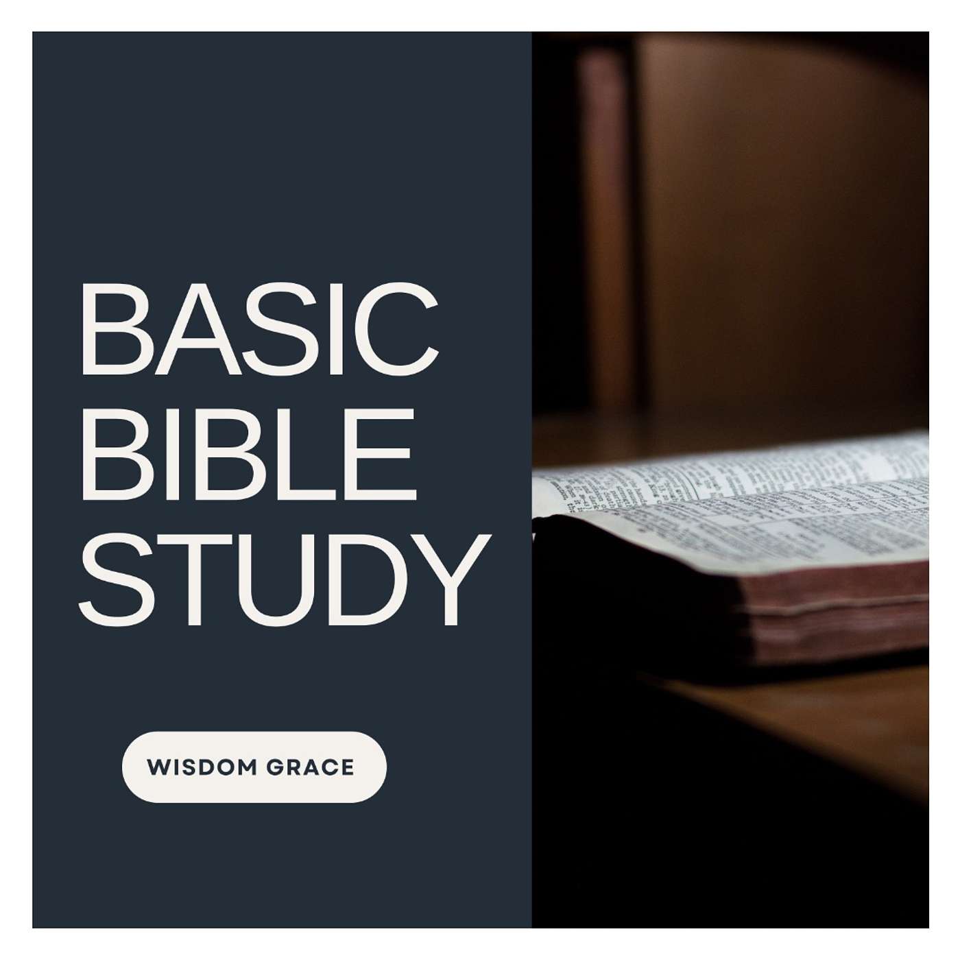 Basic Bible Study - 1 Peter 1: 20-21 - God's Plan for Jesus