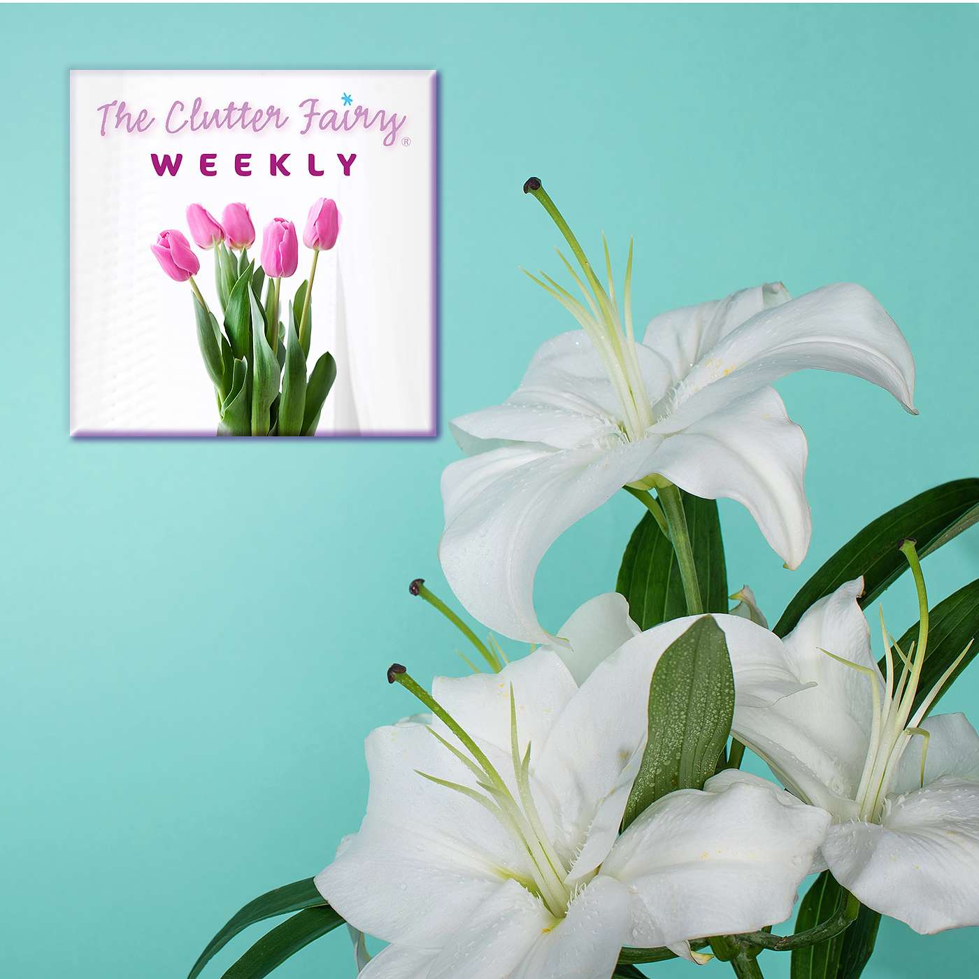 Decluttering and Organizing in Relation to the Death of a Spouse - The Clutter Fairy Weekly #295