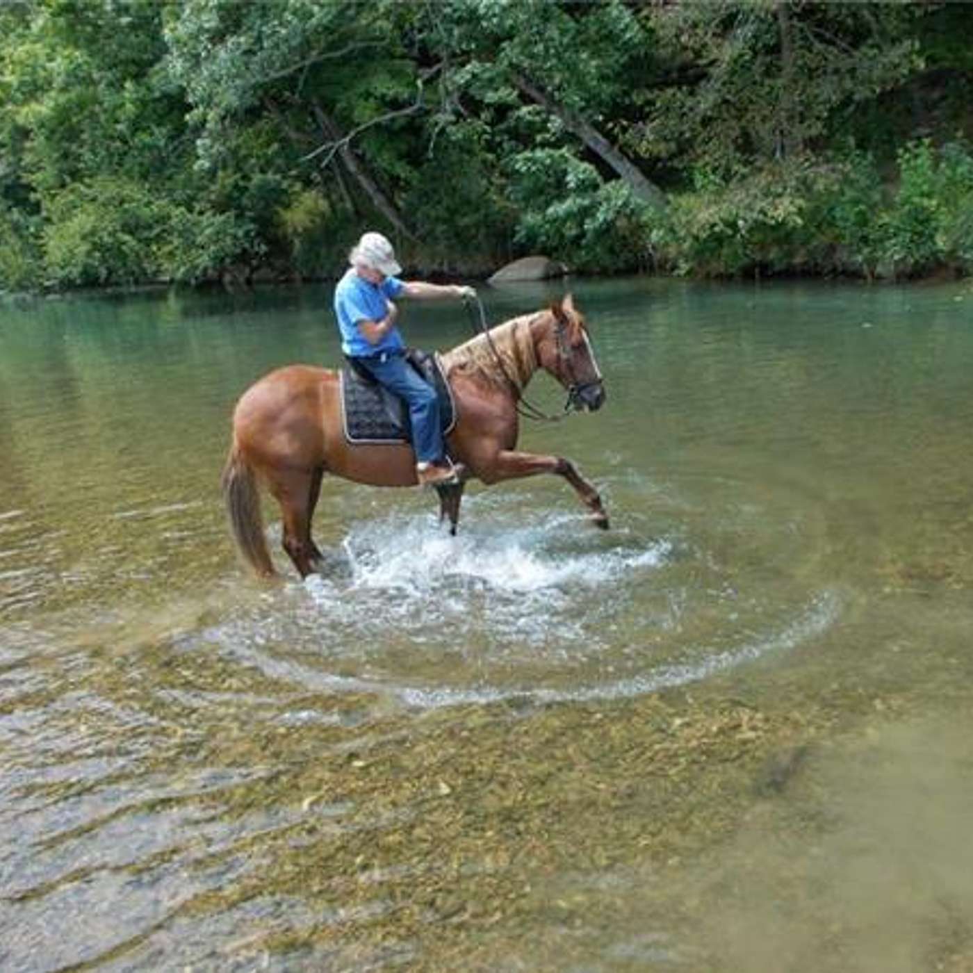 RIDING IN THE VOLUNTEER STATE & TIPS FOR THE TRAIL ON SADDLE UP AMERICA!