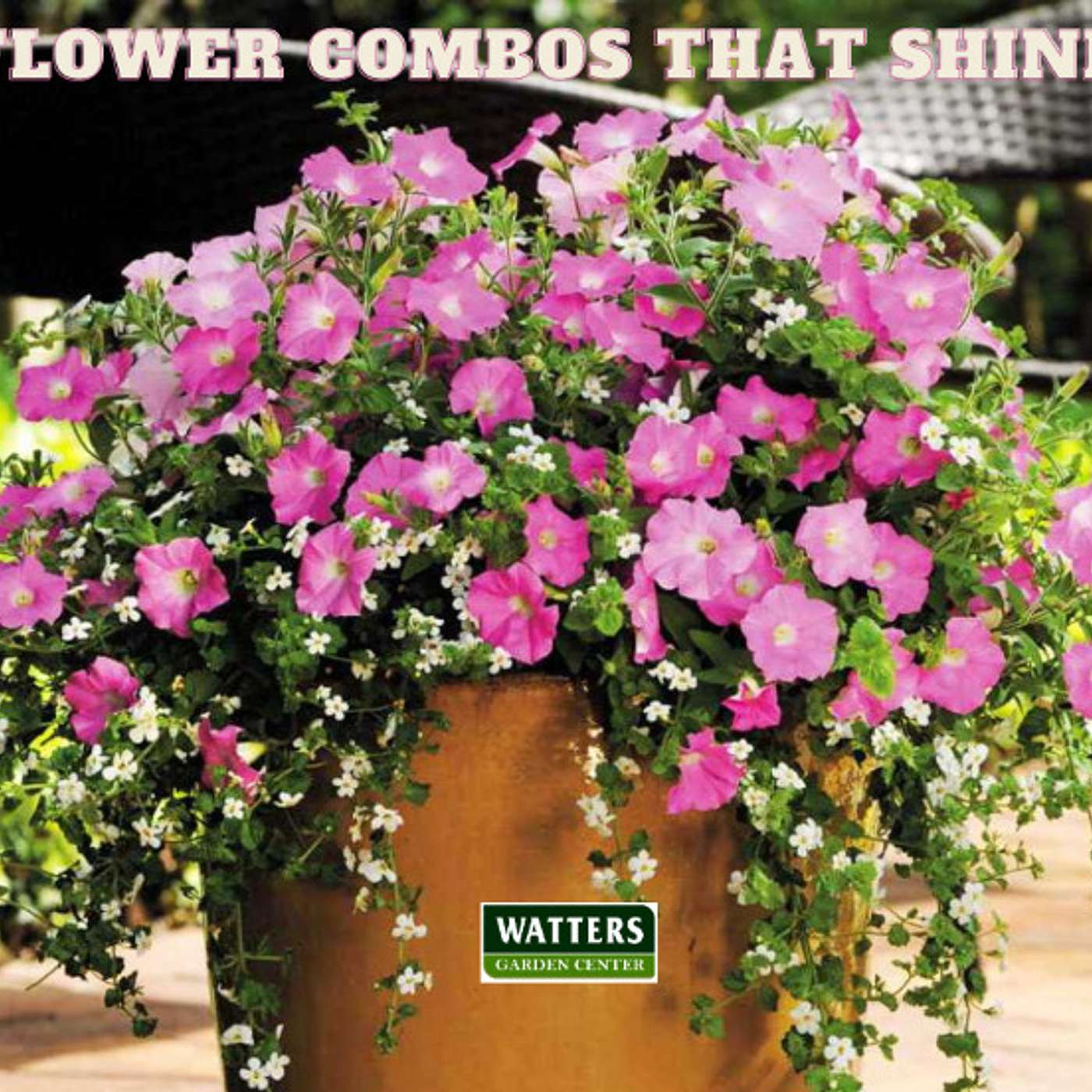 Summer Combos that Shine Through Fall!