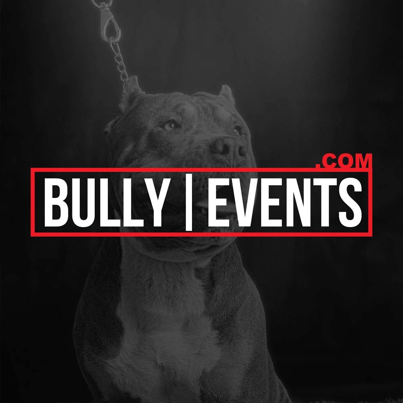 Bully Events podcast artwork