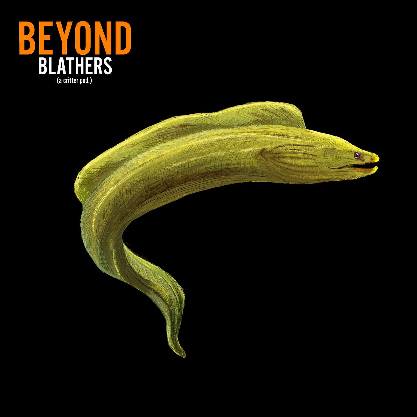 Beyond Blathers
