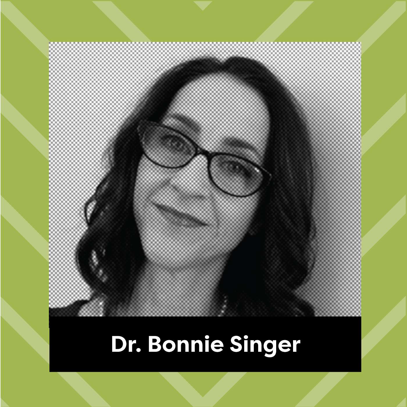 Ep. 8: Dr. Bonnie Singer - Write to Finish!