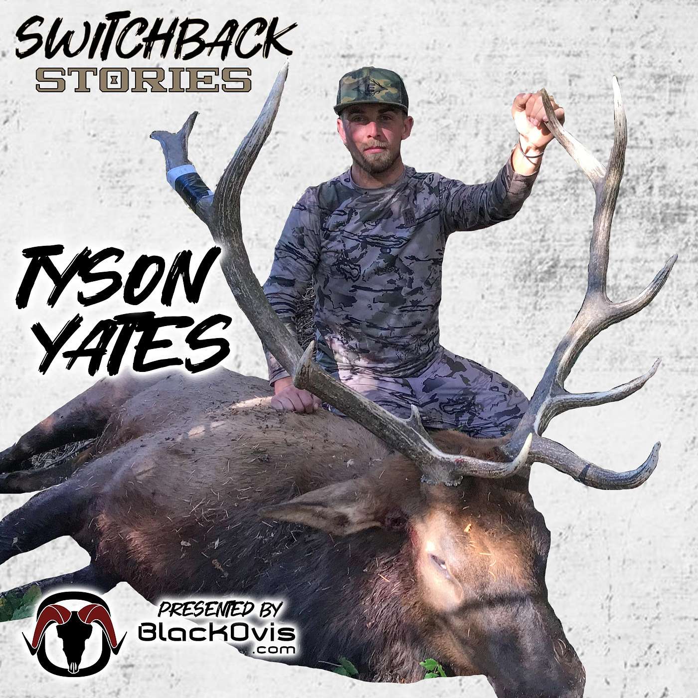 Switchback Stories