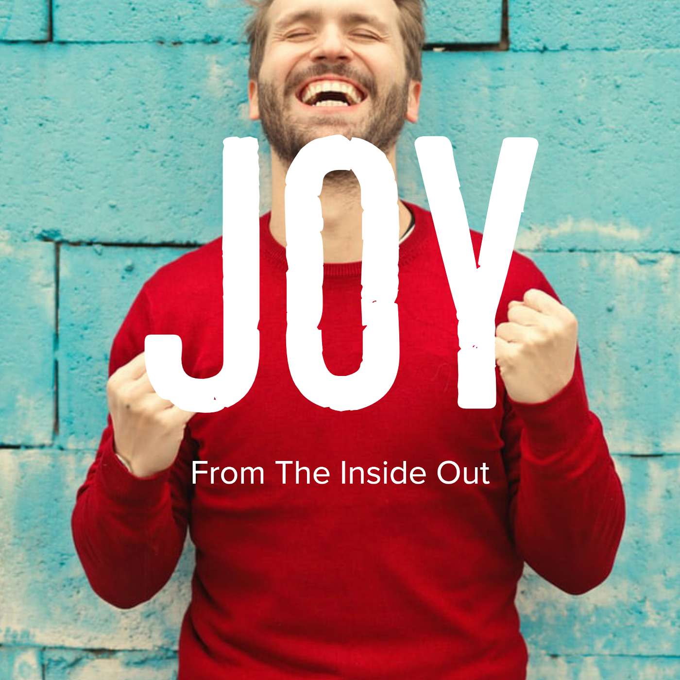 Joy: From the Inside Out