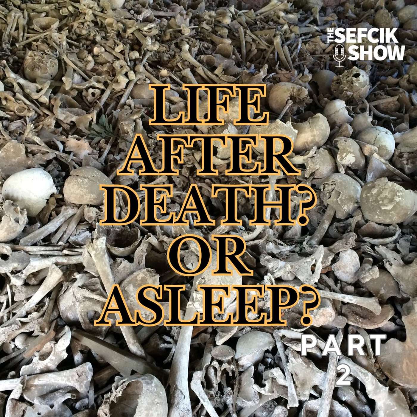 Life After Death? or Asleep? Part 2 episode artwork