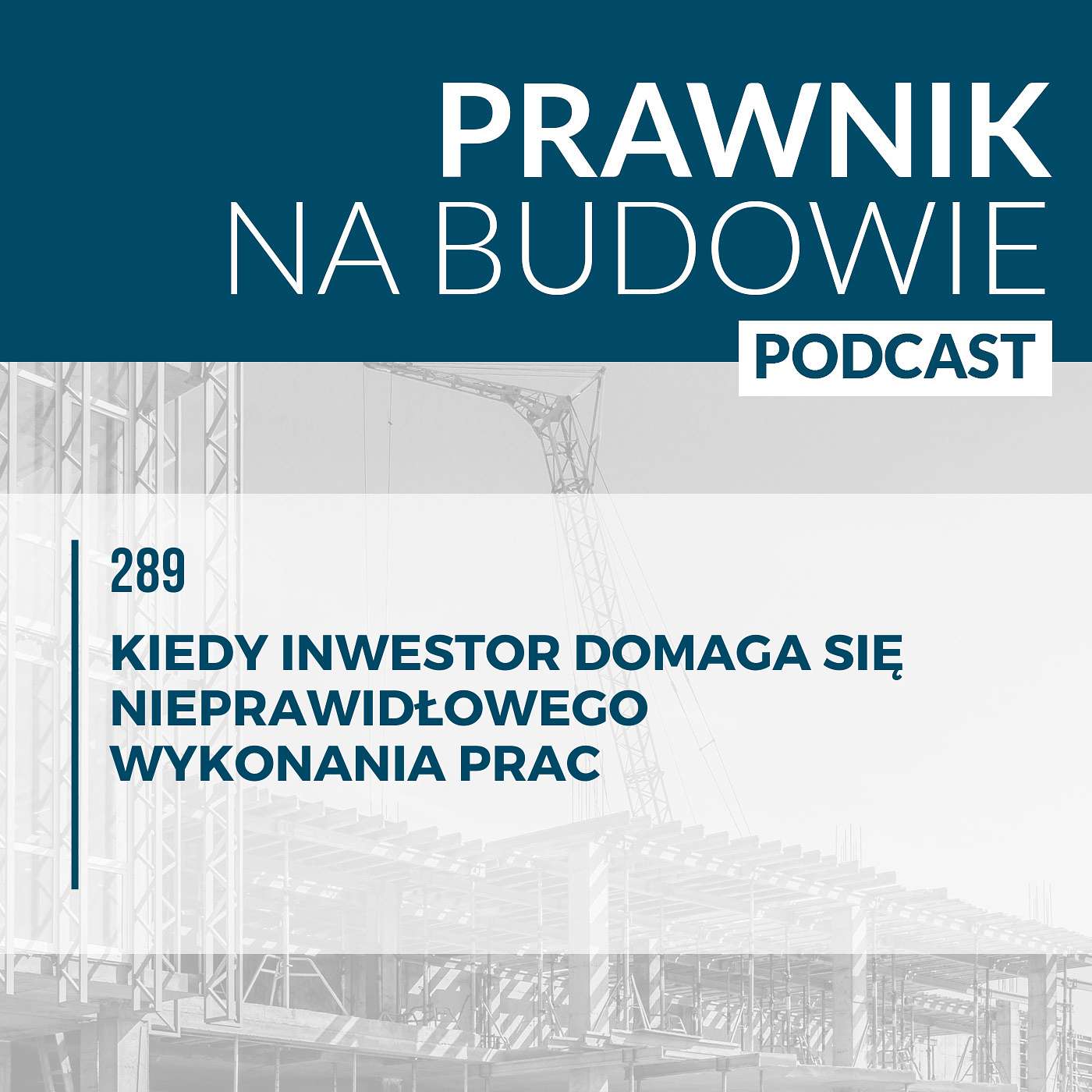 Kiedy inwestor domaga się nieprawidłowego wykonania prac #290 episode artwork