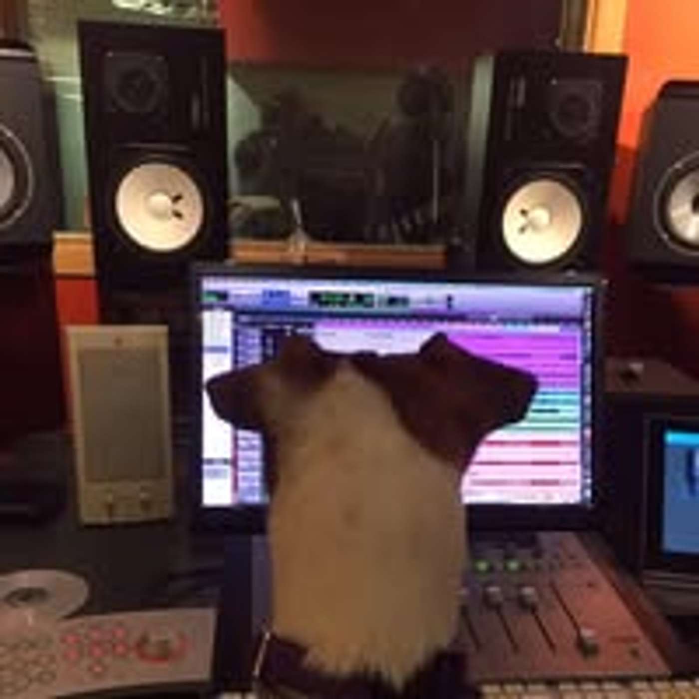 #103 Jason Sarubbi of Split Rock Recording Studio #103 Jason Sarubbi of Split Rock Recording Studio