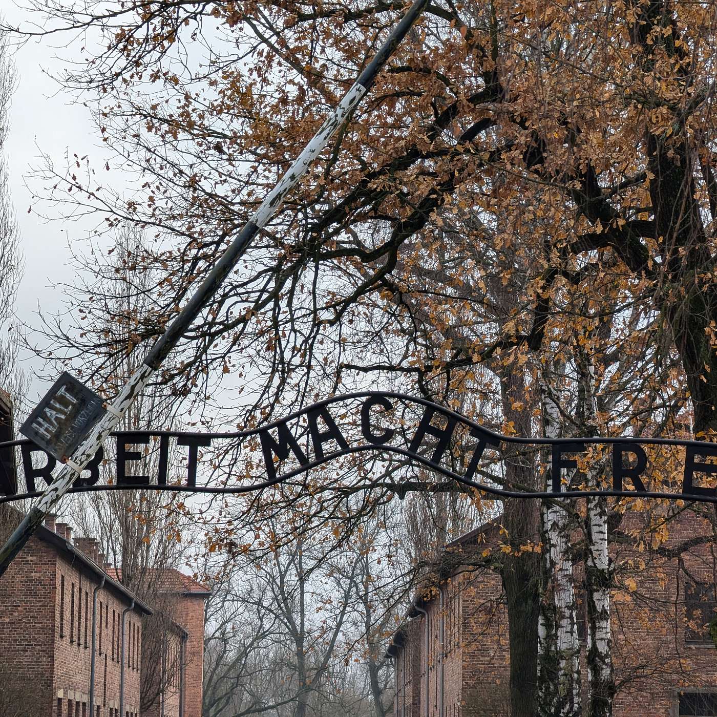 Auschwitz Revisited episode artwork