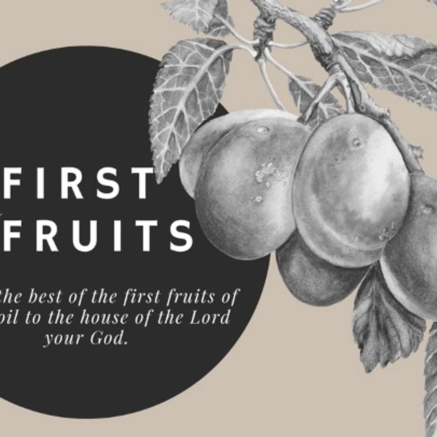 First Fruits | Flowers Fade episode artwork