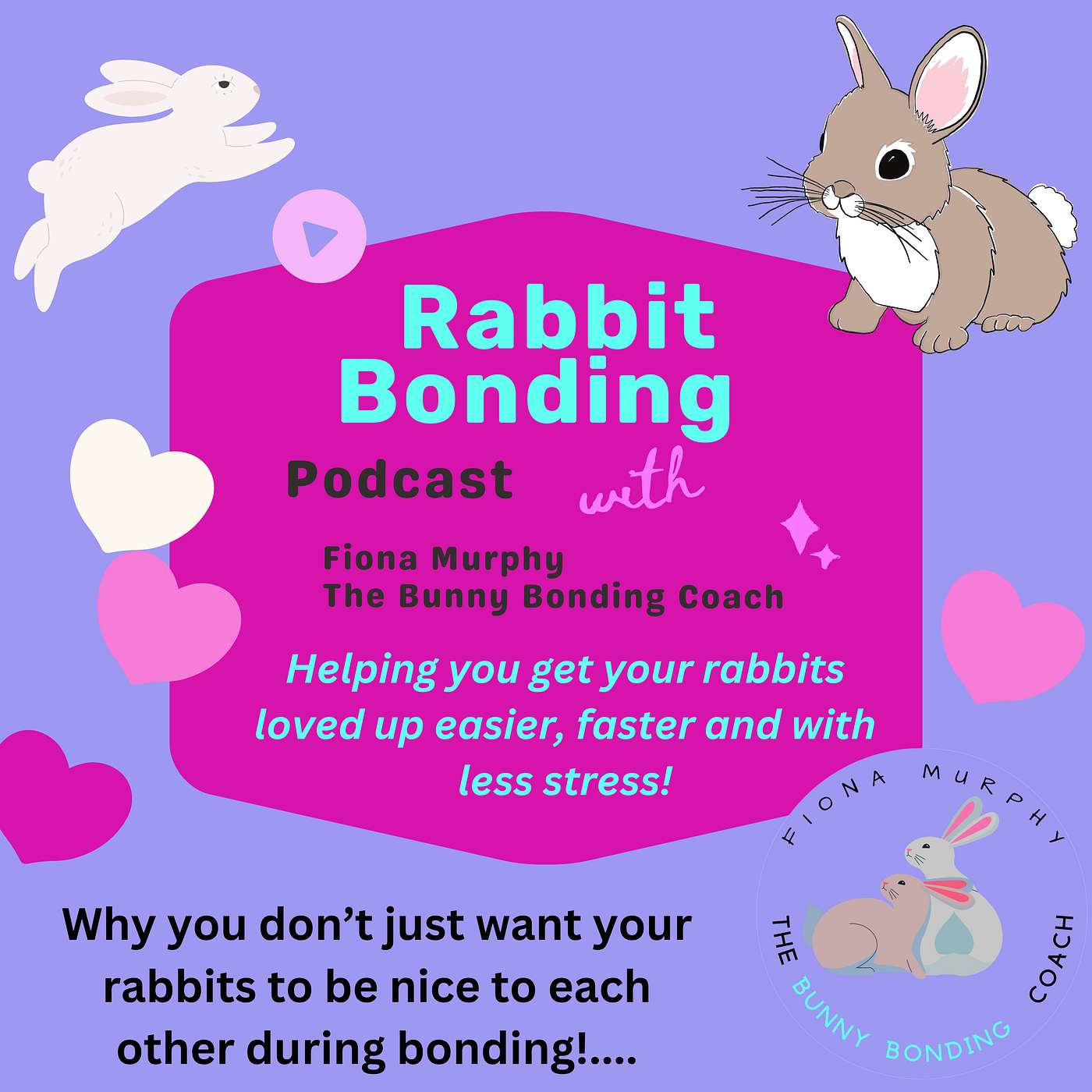Why you don’t just want your rabbits to be nice to each other during bonding!....