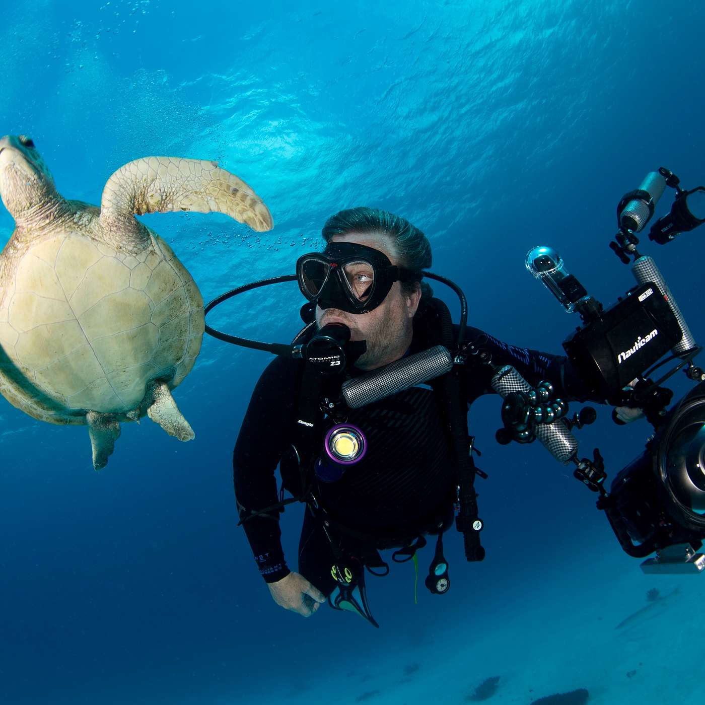 S1 E8: Sea Turtles of the Great Barrier Reef with Richard Fitzpatrick
