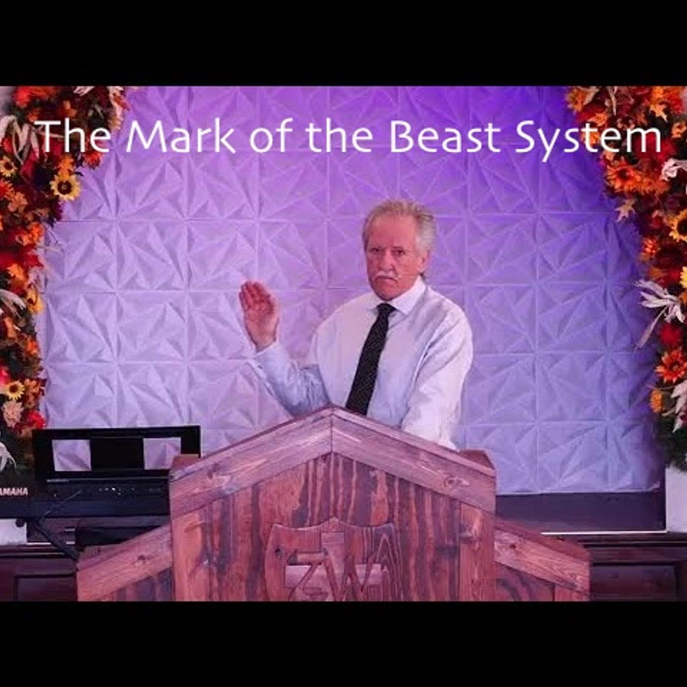 The Mark of the Beast System