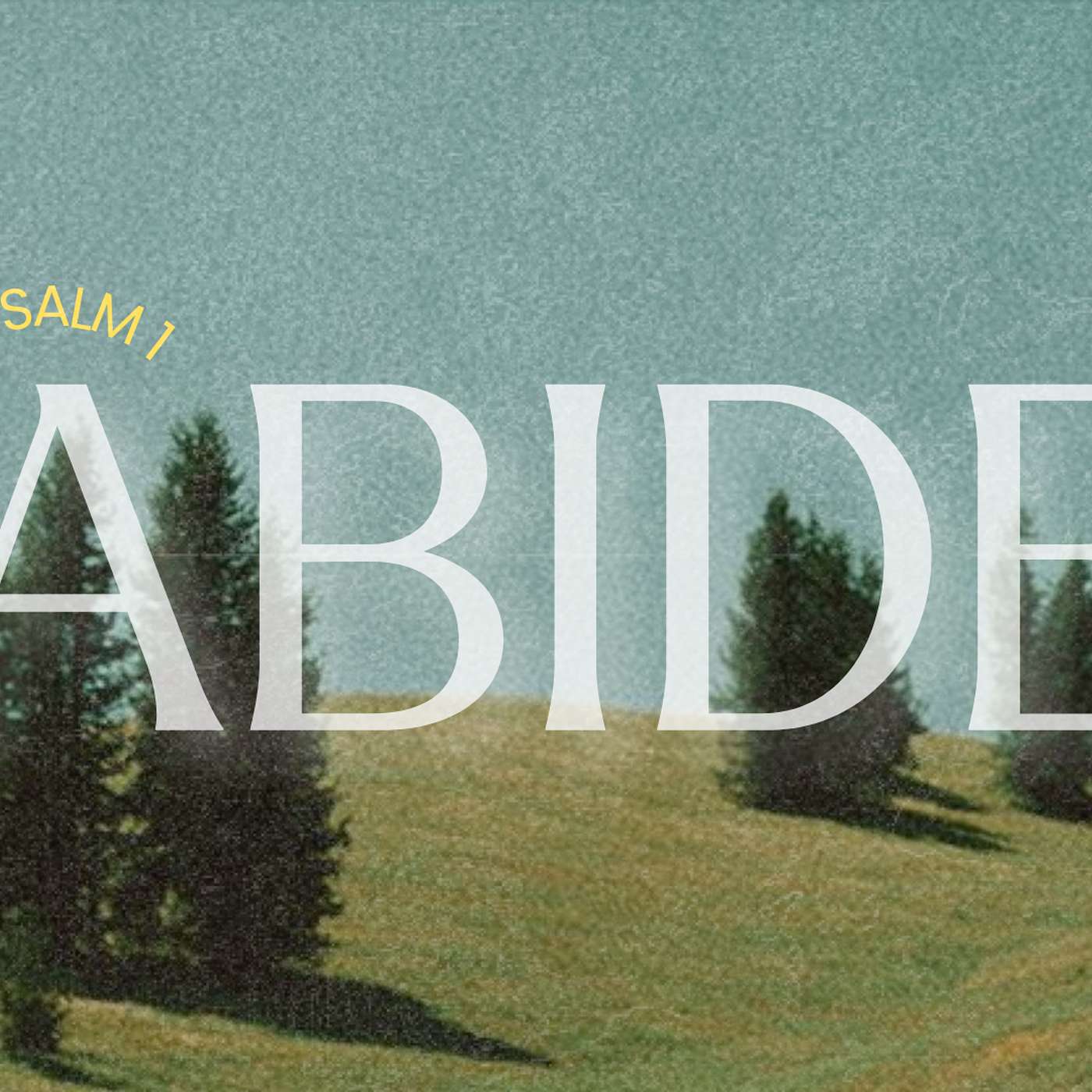 Psalm 1 | Bible episode artwork