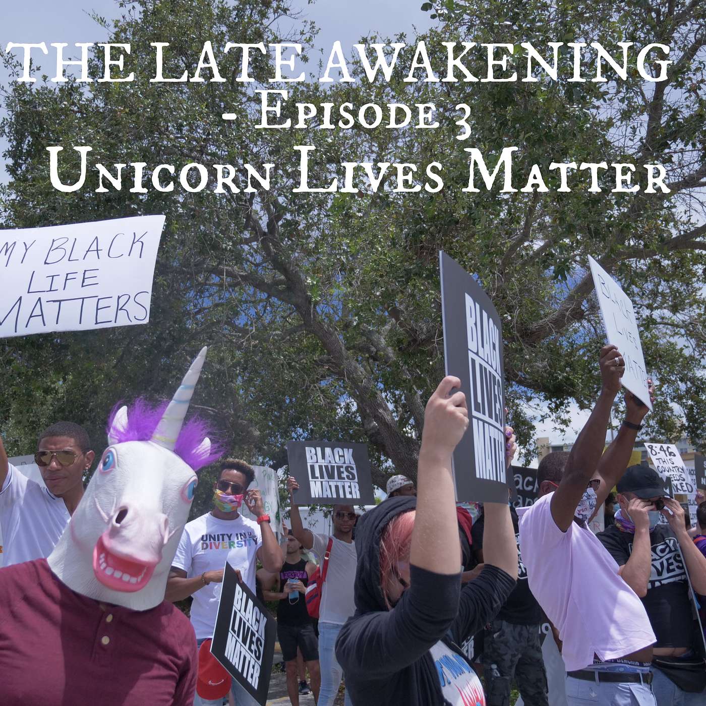 Unicorn Lives Matter | The Late Awakening