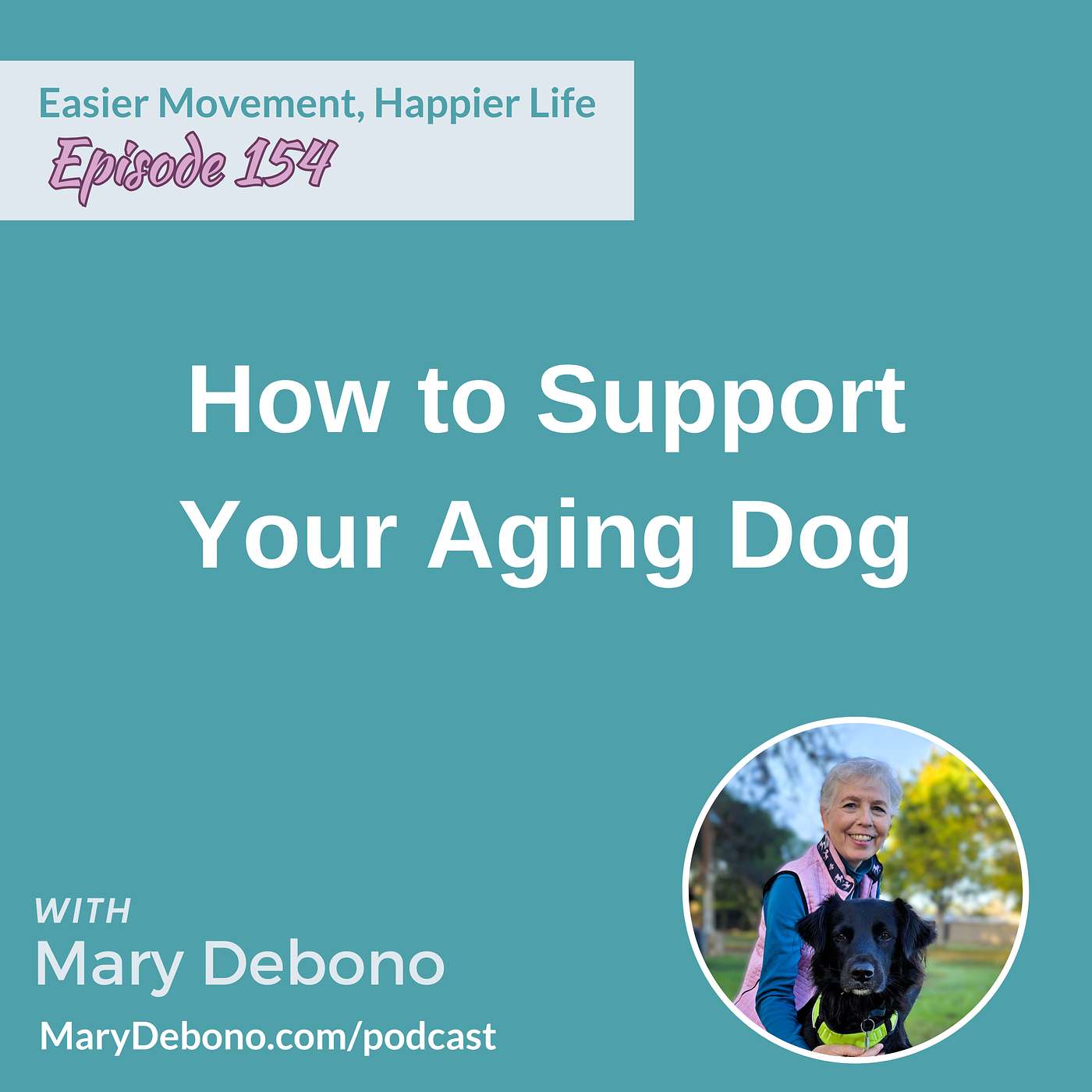 How to Support Your Aging Dog episode artwork