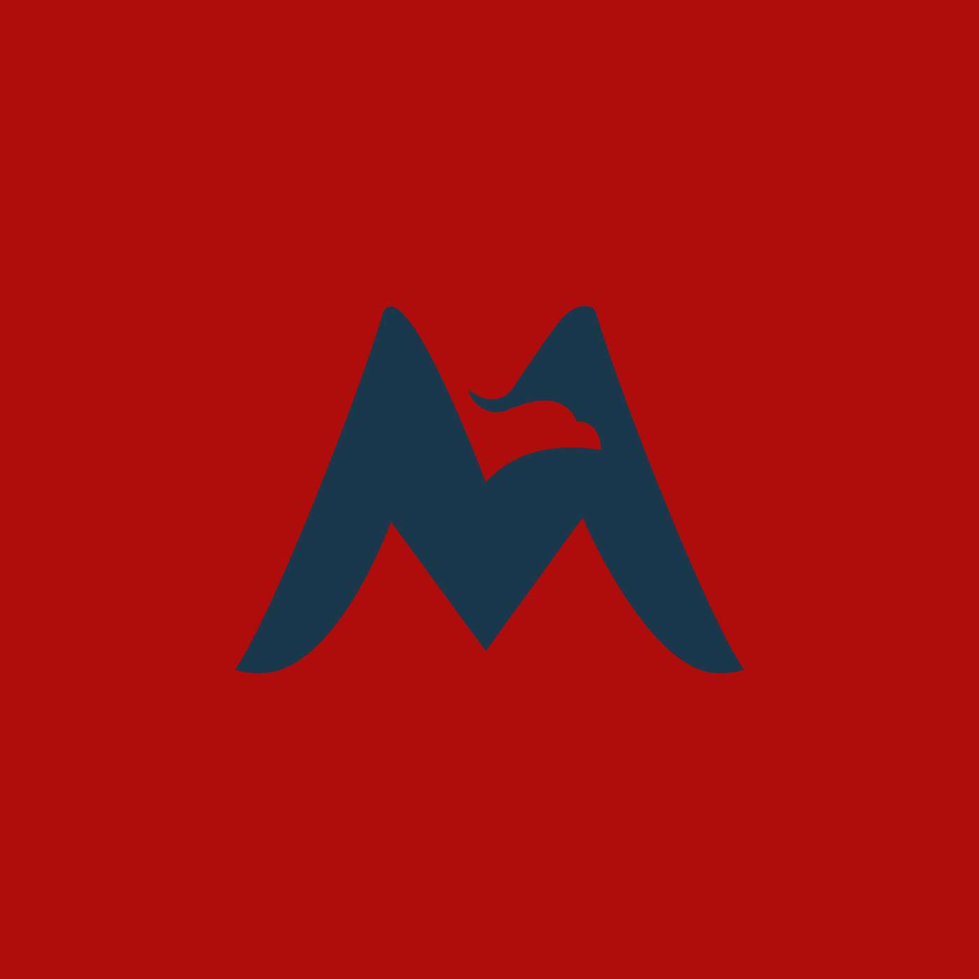 MedFi CAST