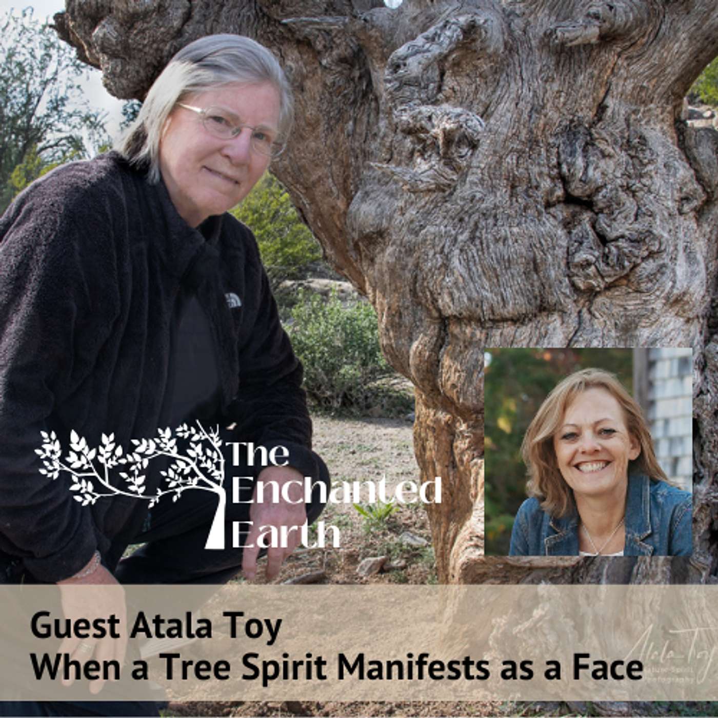 Exploring the Realm of Nature Beings | The Enchanted Earth Podcast