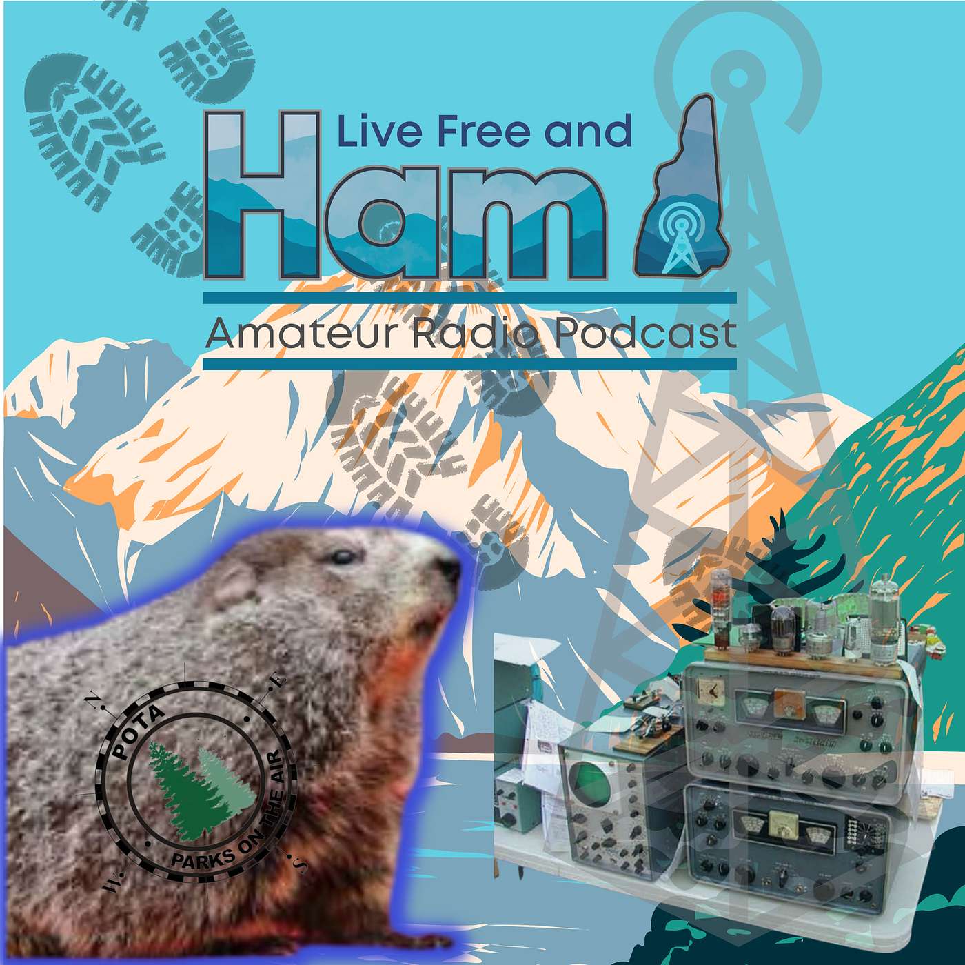 Spring into the Airwaves: General Ham Radio antics and goals for 2024
