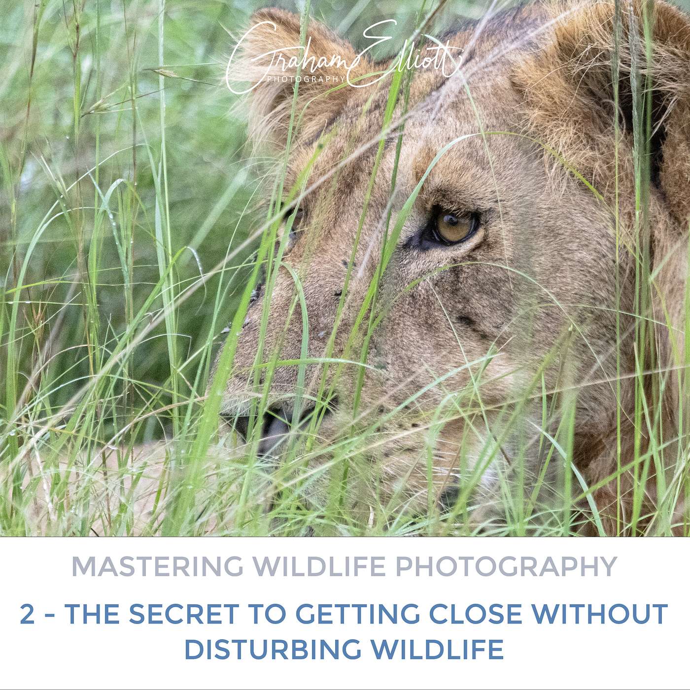 Mastering Wildlife Photography Part 2: The Secret to Getting Close Without Disturbing Wildlife Mastering Wildlife Photography Part 2: The Secret to Getting Close Without Disturbing Wildlife