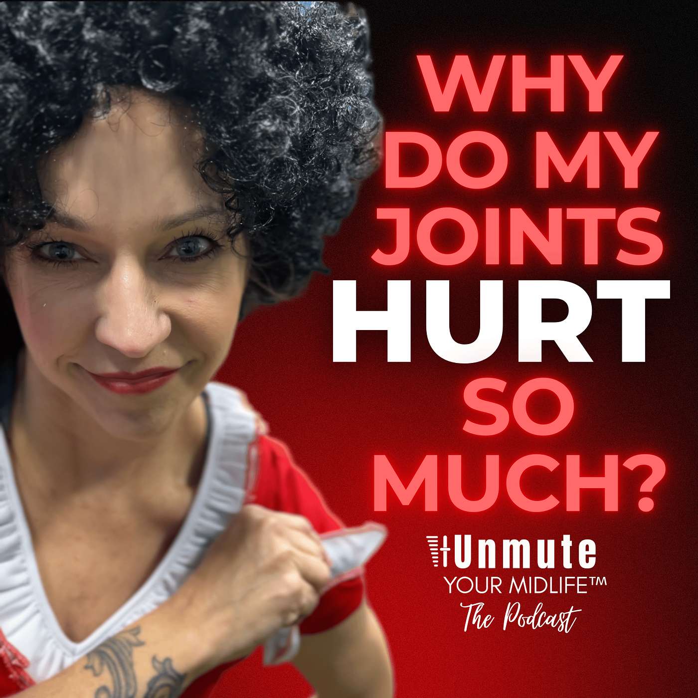 E19: Why Do Your Joints Hurt So Much? (The Musculoskeletal Syndrome of Menopause) episode artwork