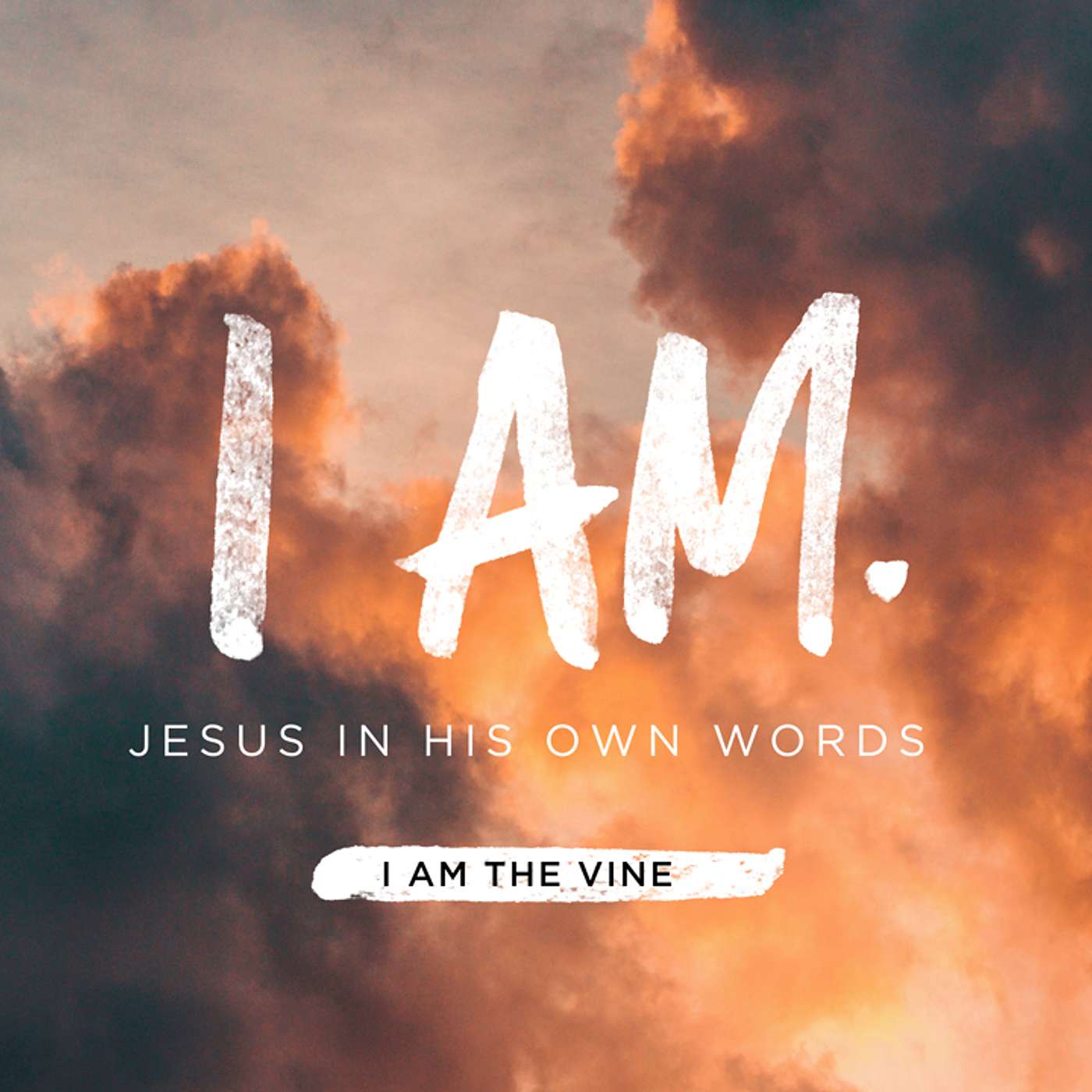 I Am... The Vine