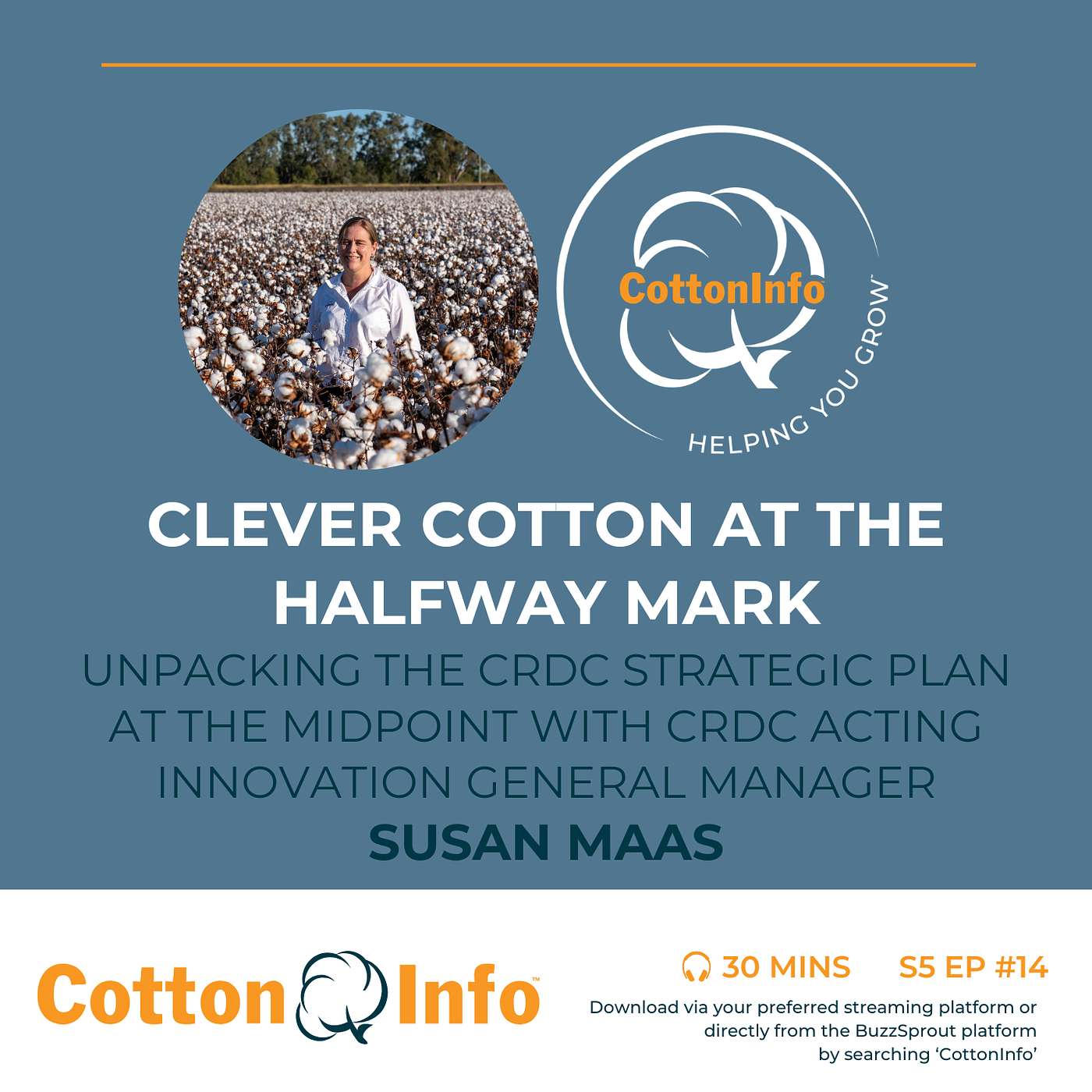 Clever Cotton at the halfway mark with Susan Maas