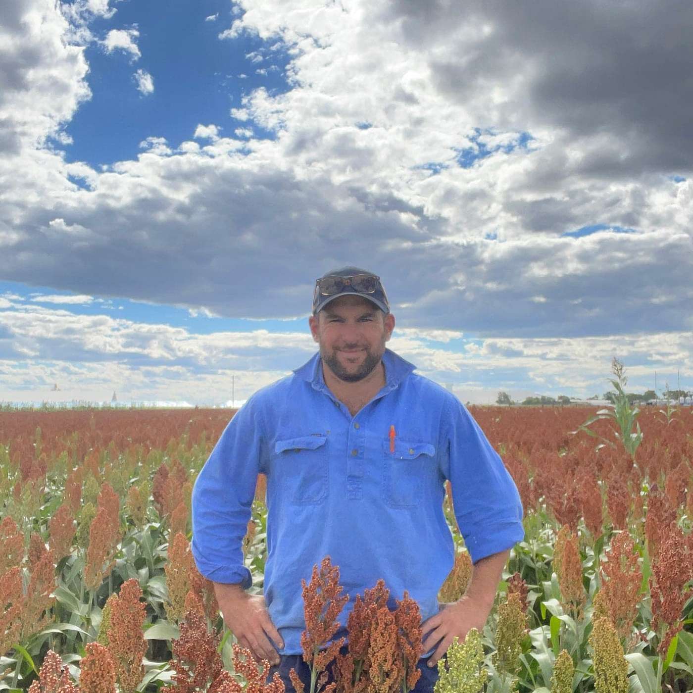 Regional Update - Sam Simons, Agronomist, Moree, NSW