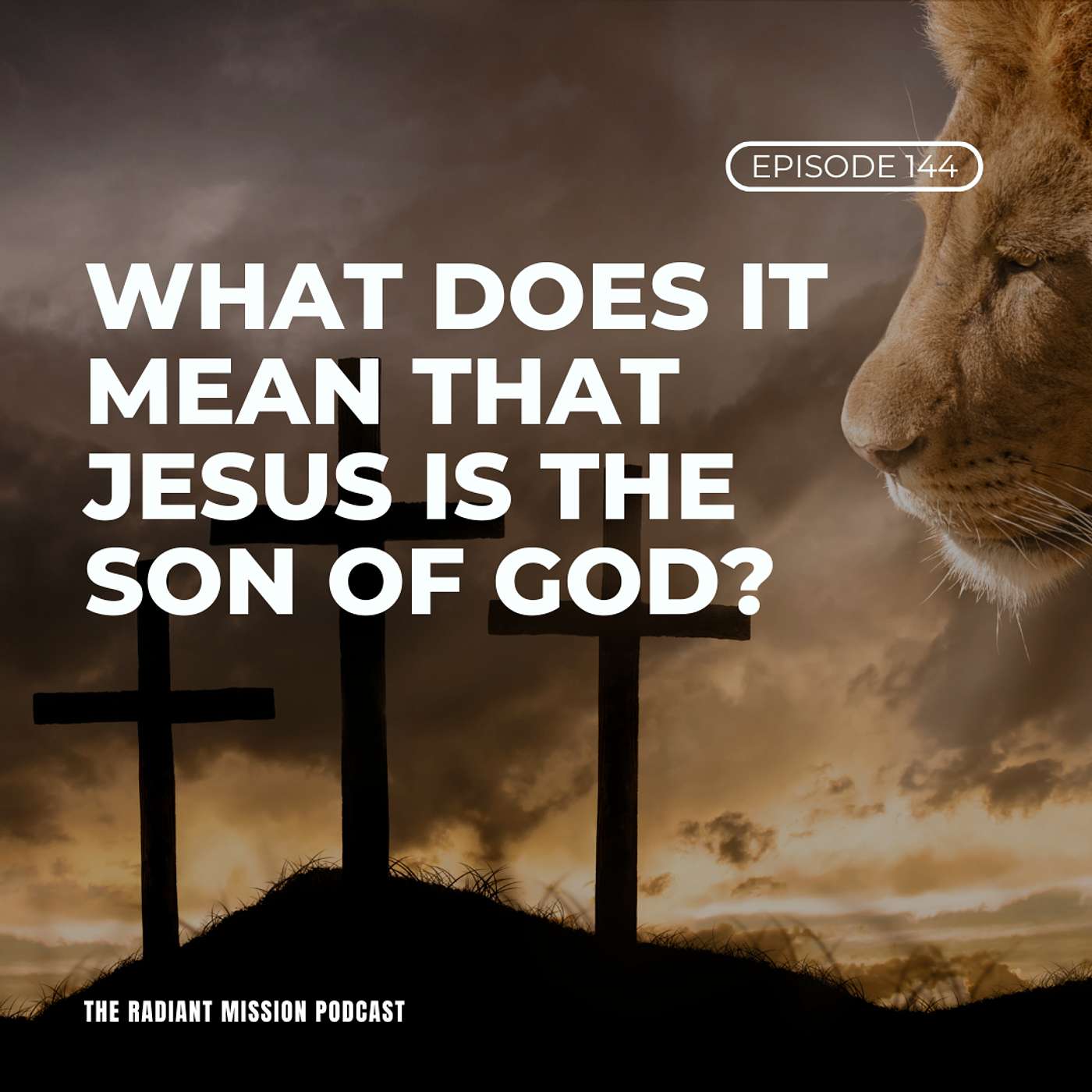 144. What Does It Mean That Jesus is the Son of God?