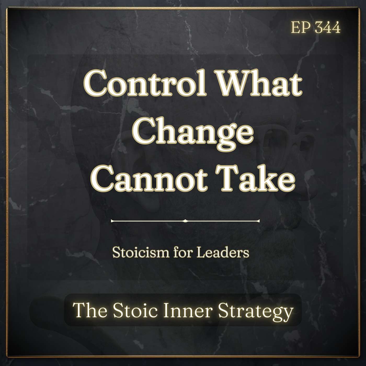 Ep 344 – Control What Change Cannot Take episode artwork