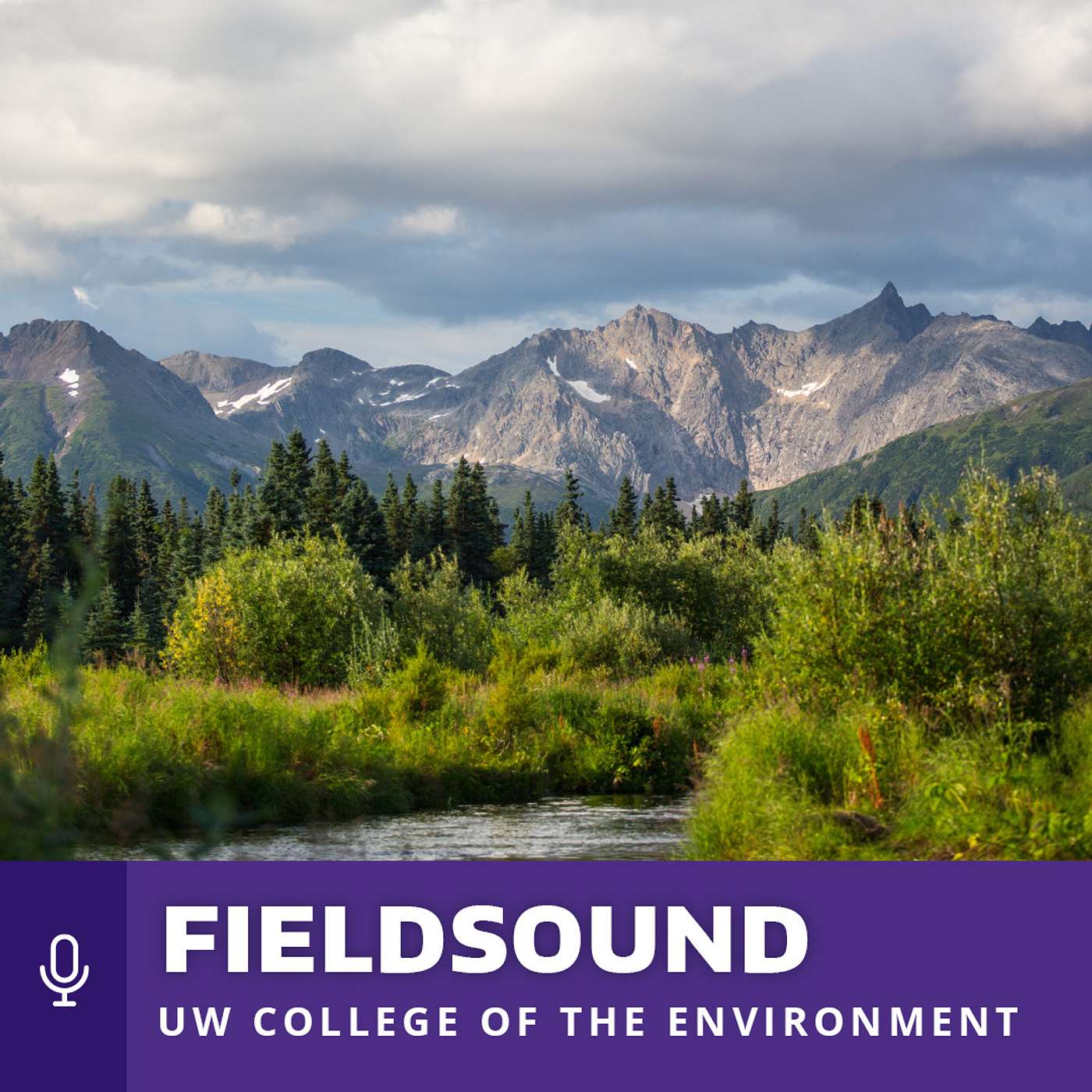 S1 E6: Fish, Forests and Fungi with Anne Polyakov