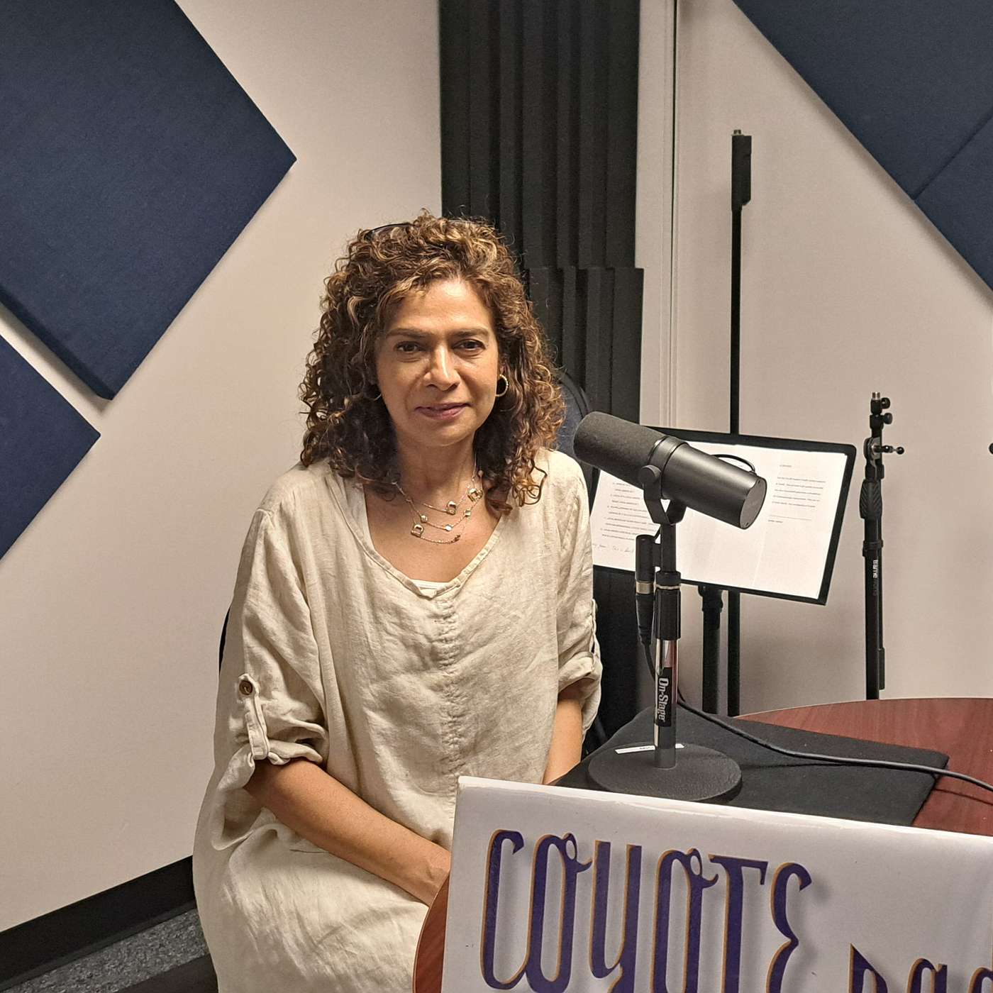 CSUSB CAL Talks