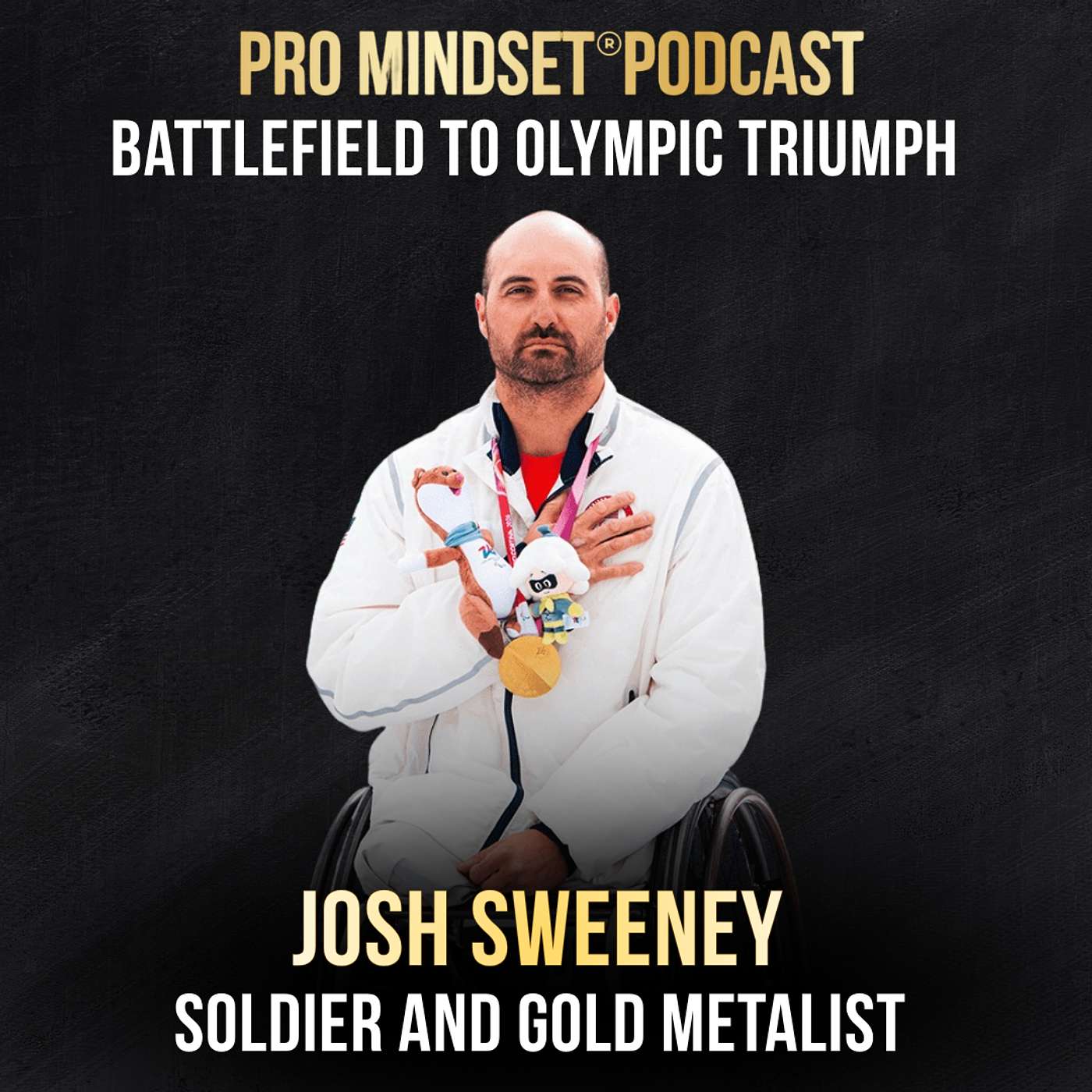 Pro Mindset® Podcast