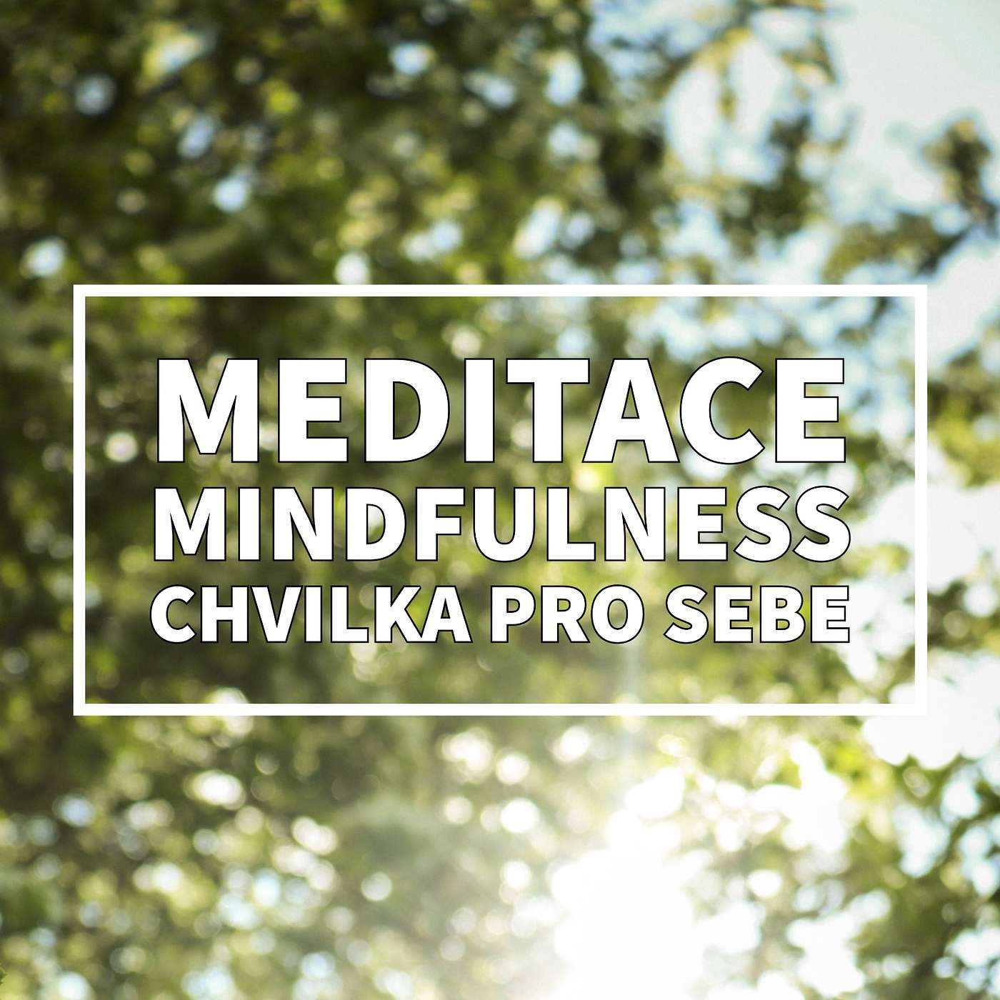 Marek Vich - Mindful Podcast