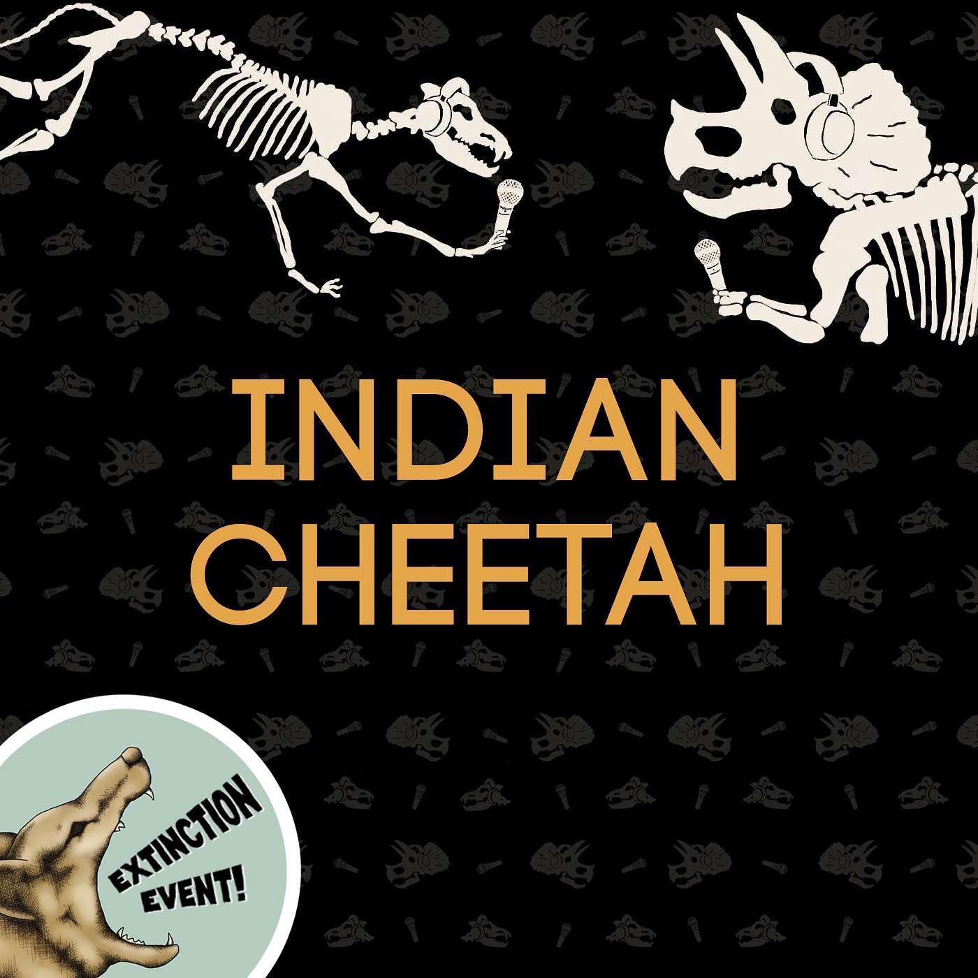 Indian Cheetah