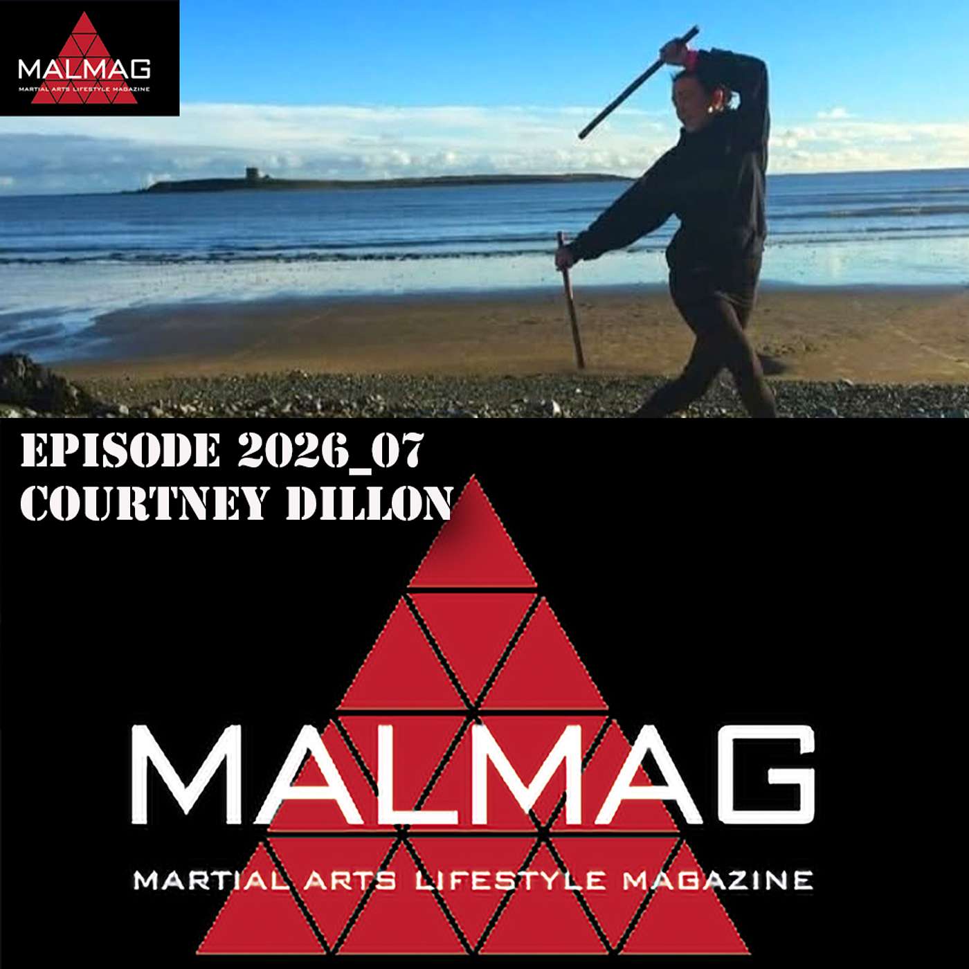 The Martial Arts Lifestyle Podcast