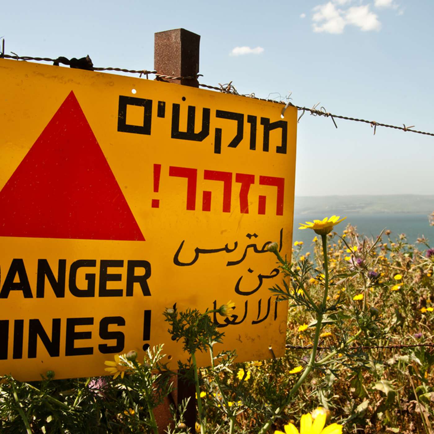 חיידקים נגד מוקשים | פרופ' שמשון בלקין episode artwork
