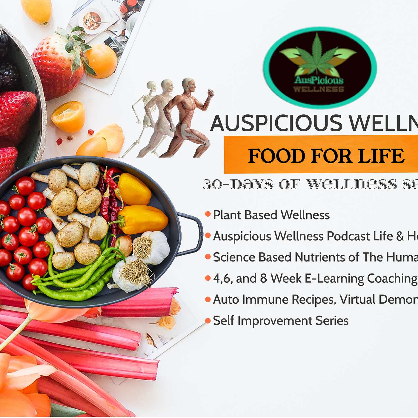 Auspicious Wellness Optimal Wellness Podcast