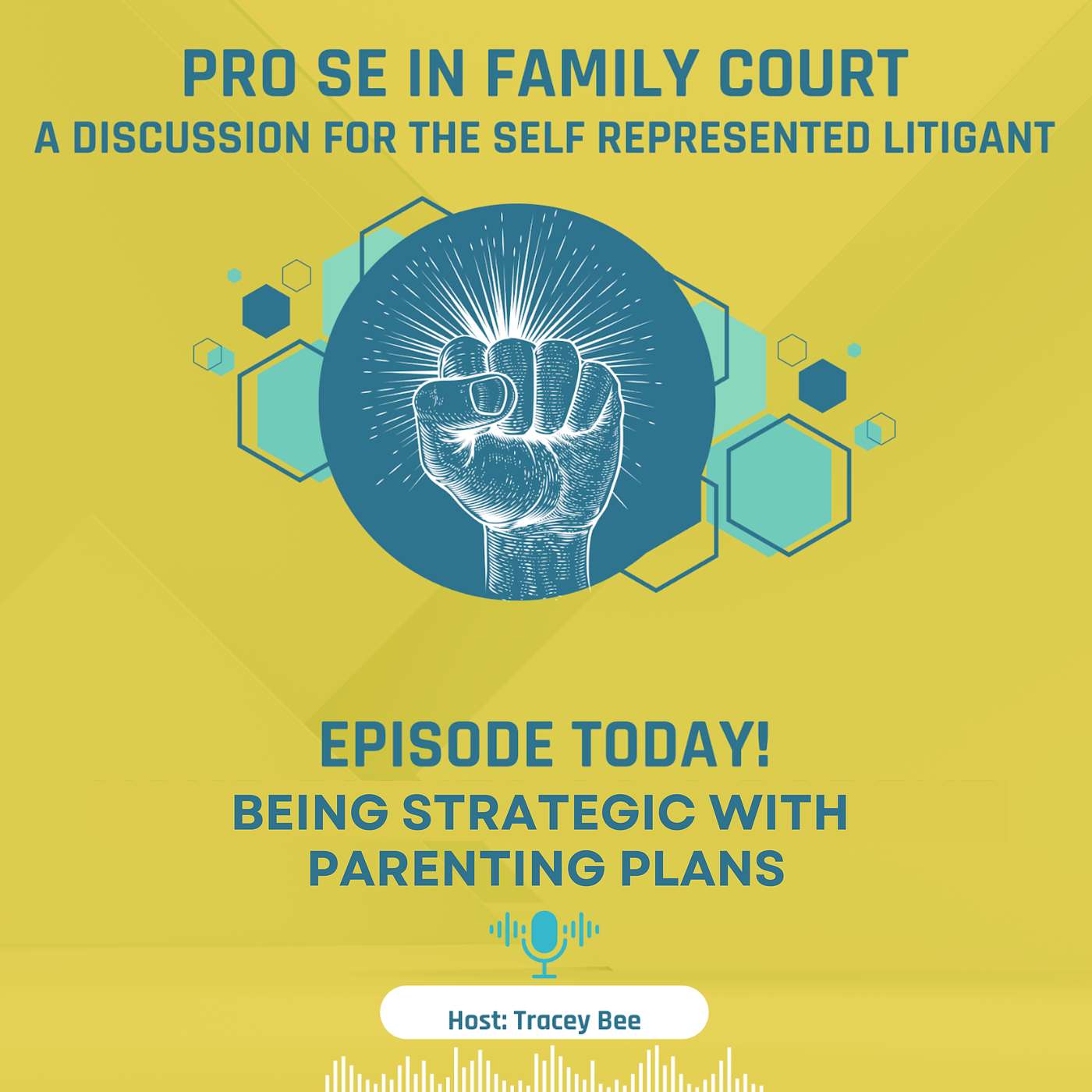 Season 2 Episode 3: Being Strategic with Parenting Plans