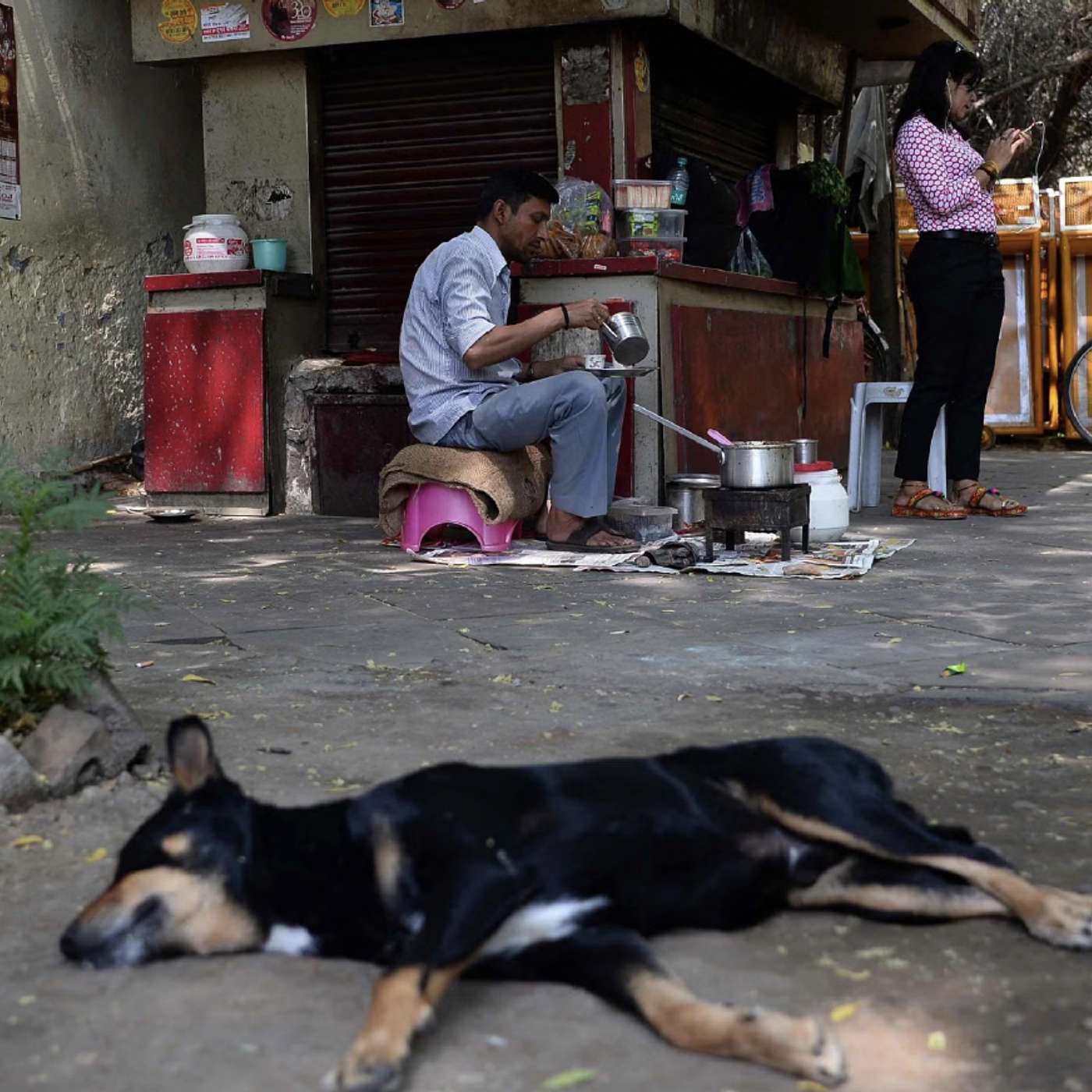 Man’s Best Friend? Stray Dogs and the Rabies Crisis in India episode artwork