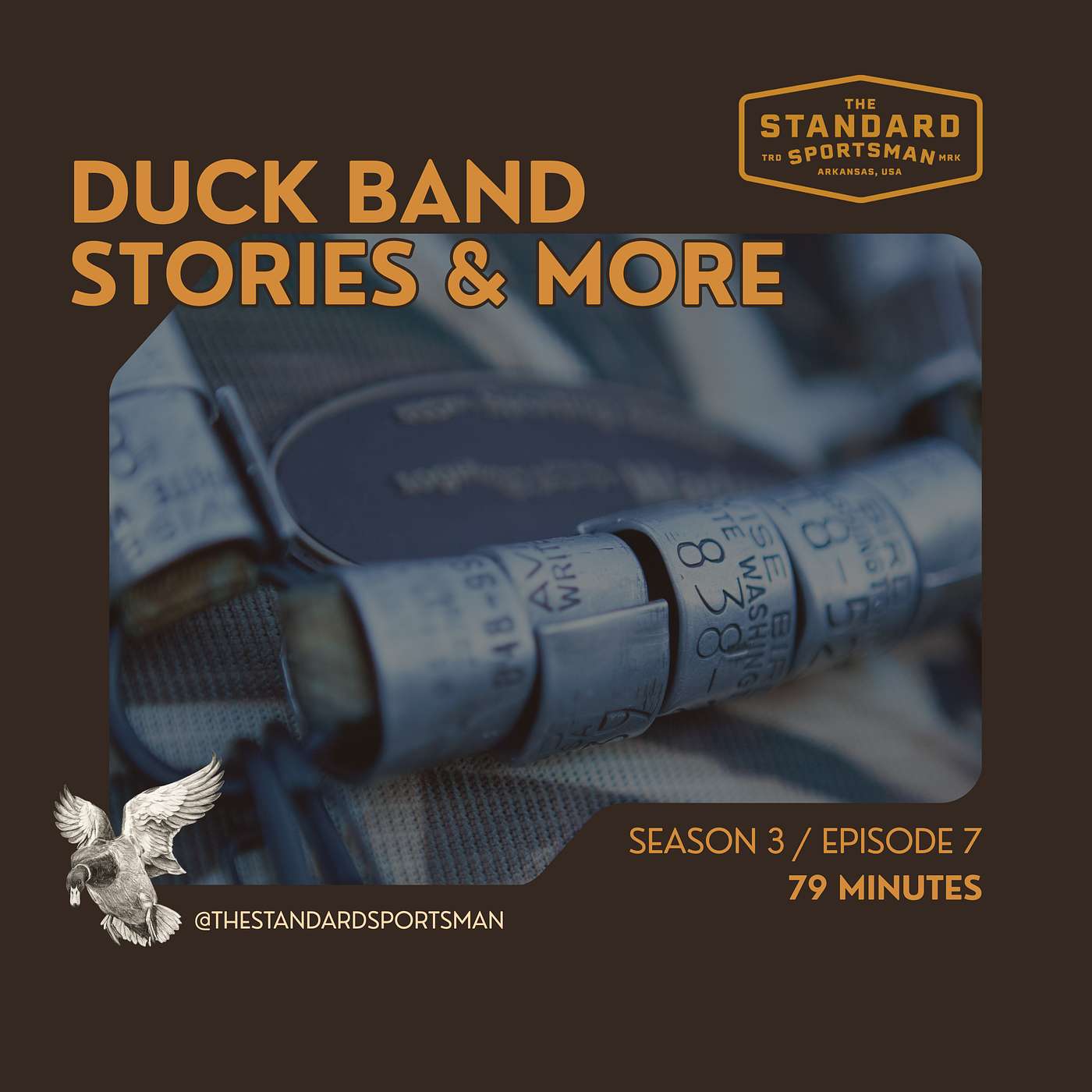 Duck Band Stories episode artwork