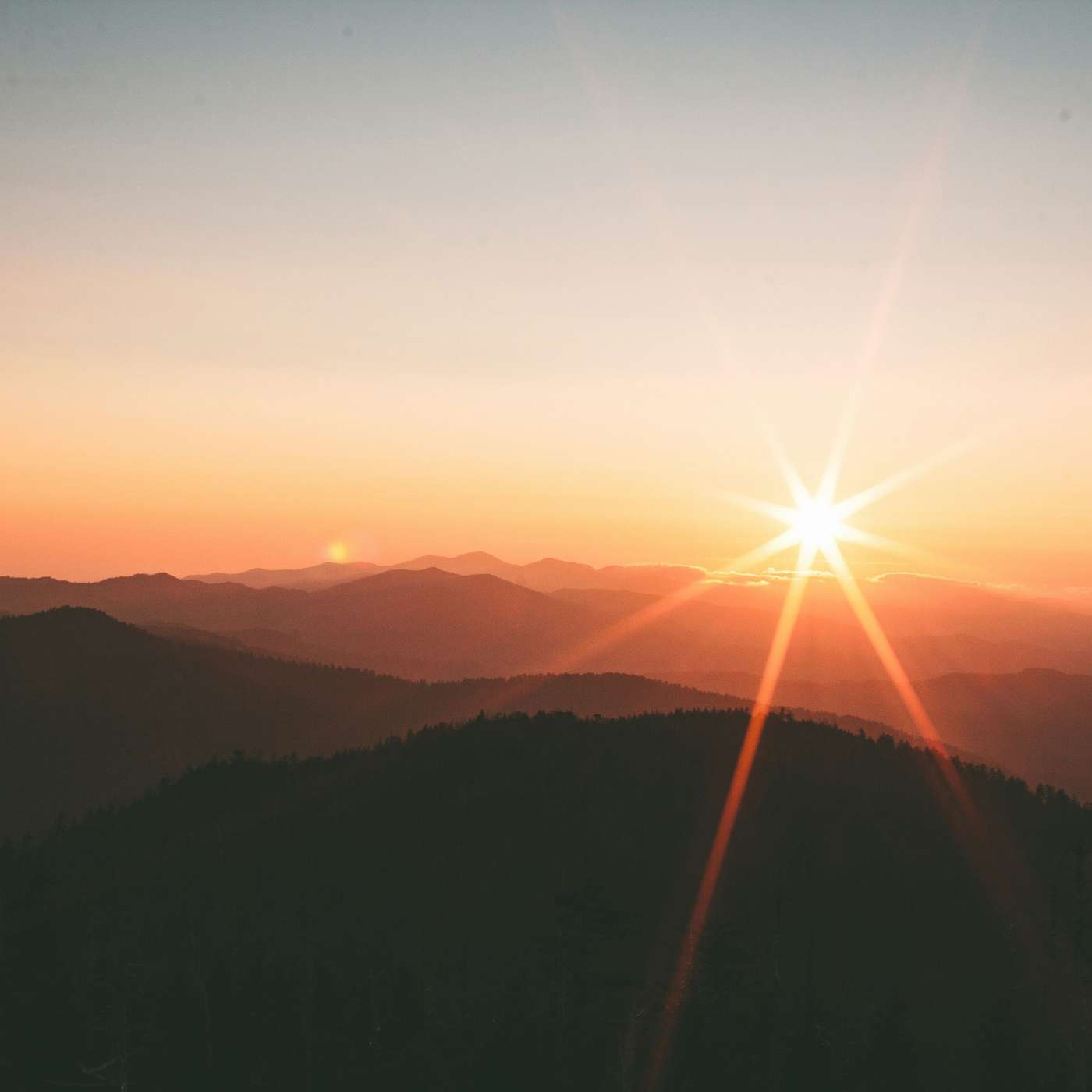 Digital Public Square