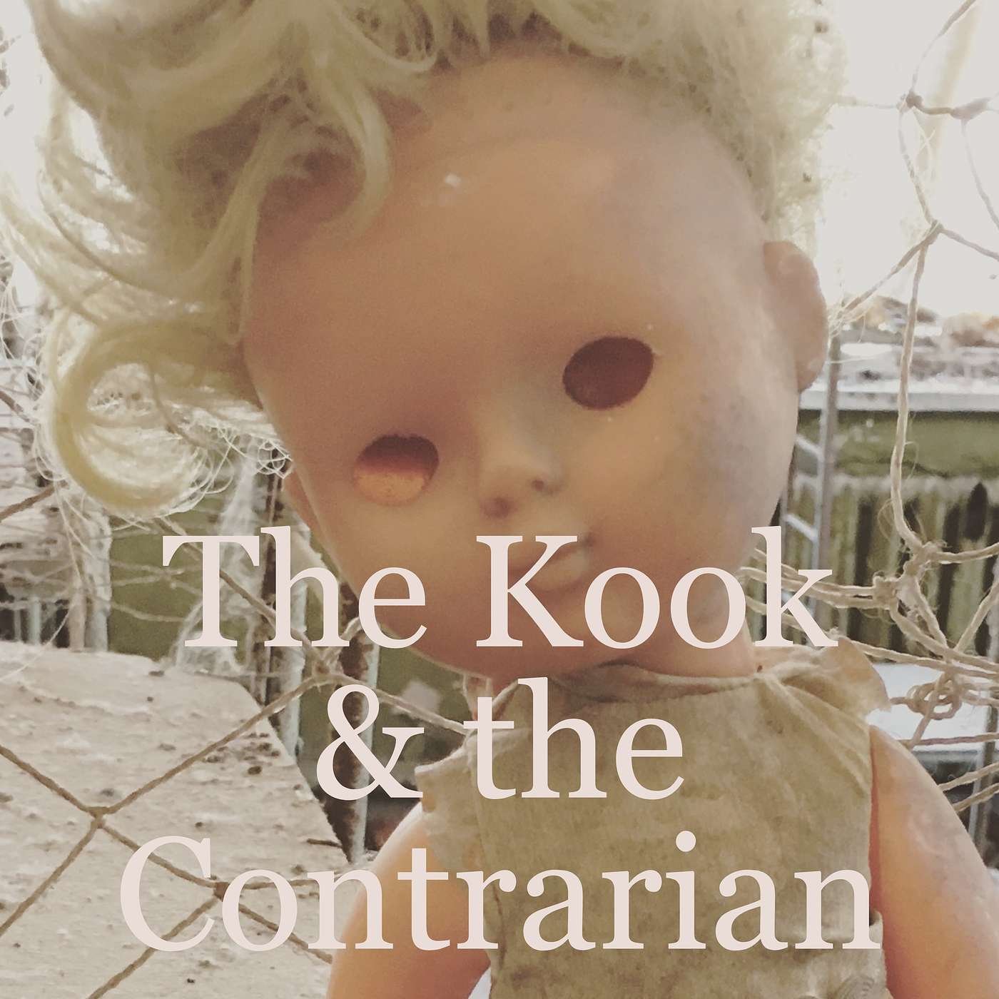 The Kook and the Contrarian