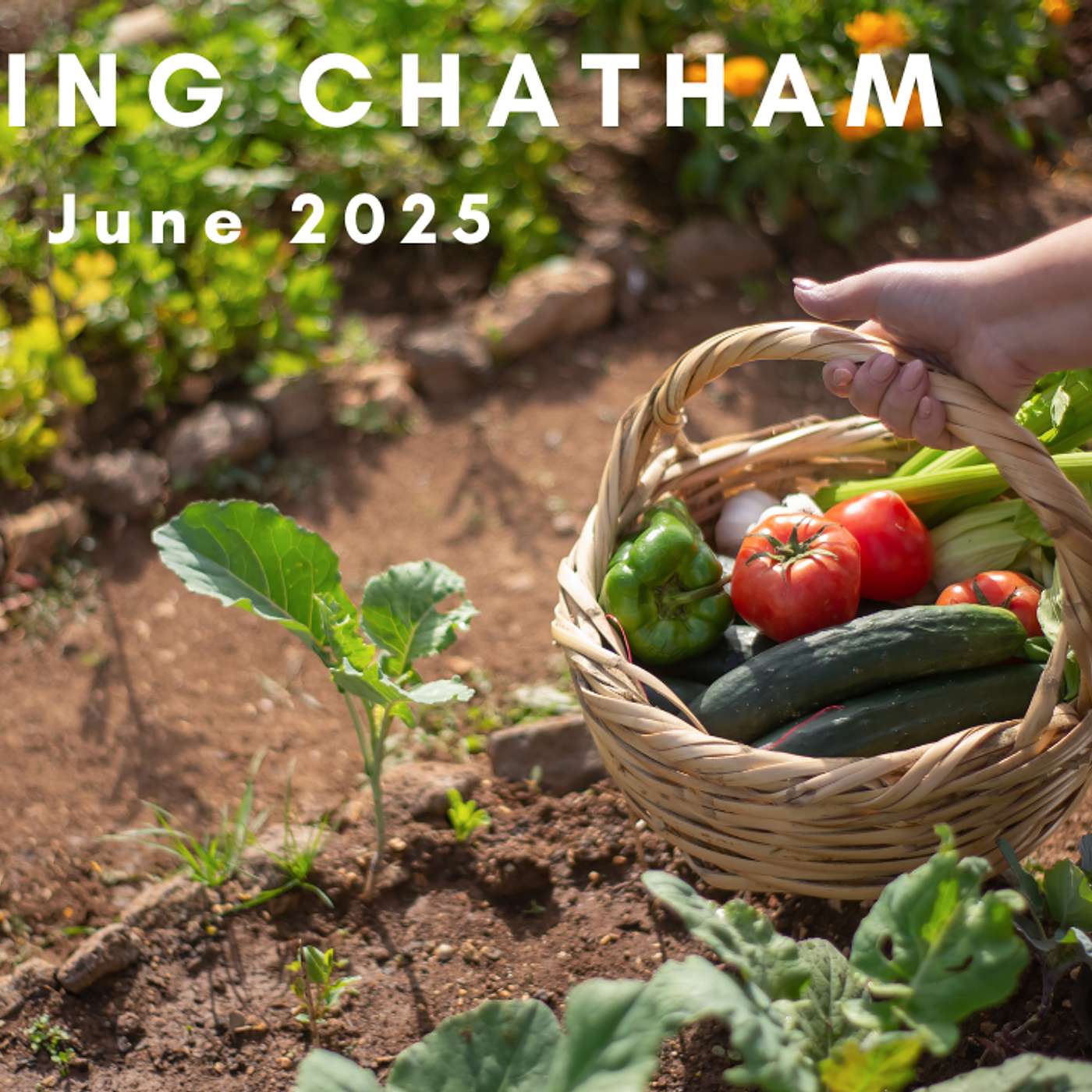 Growing Chatham June 2025