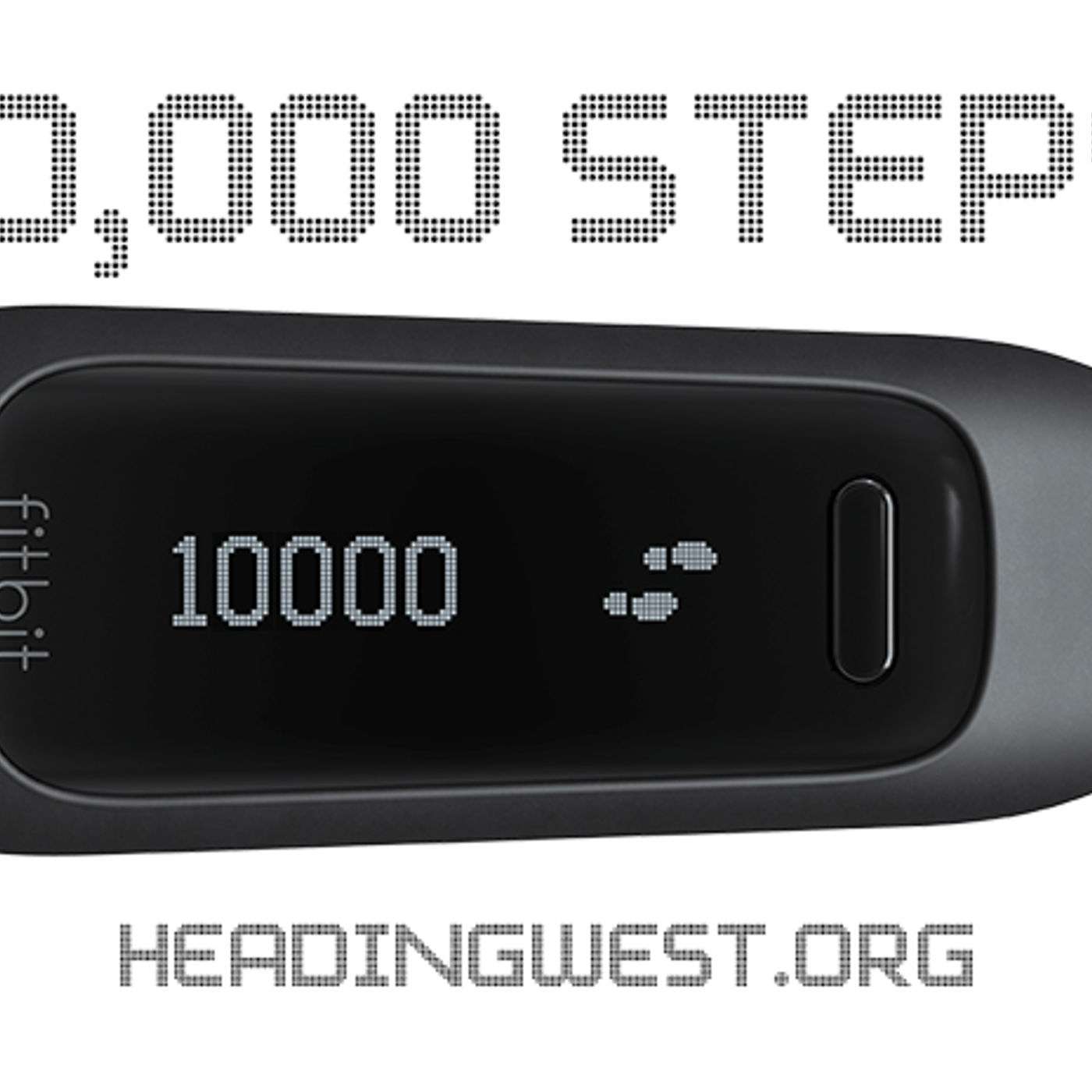 10,000 Steps: The Walks of Life