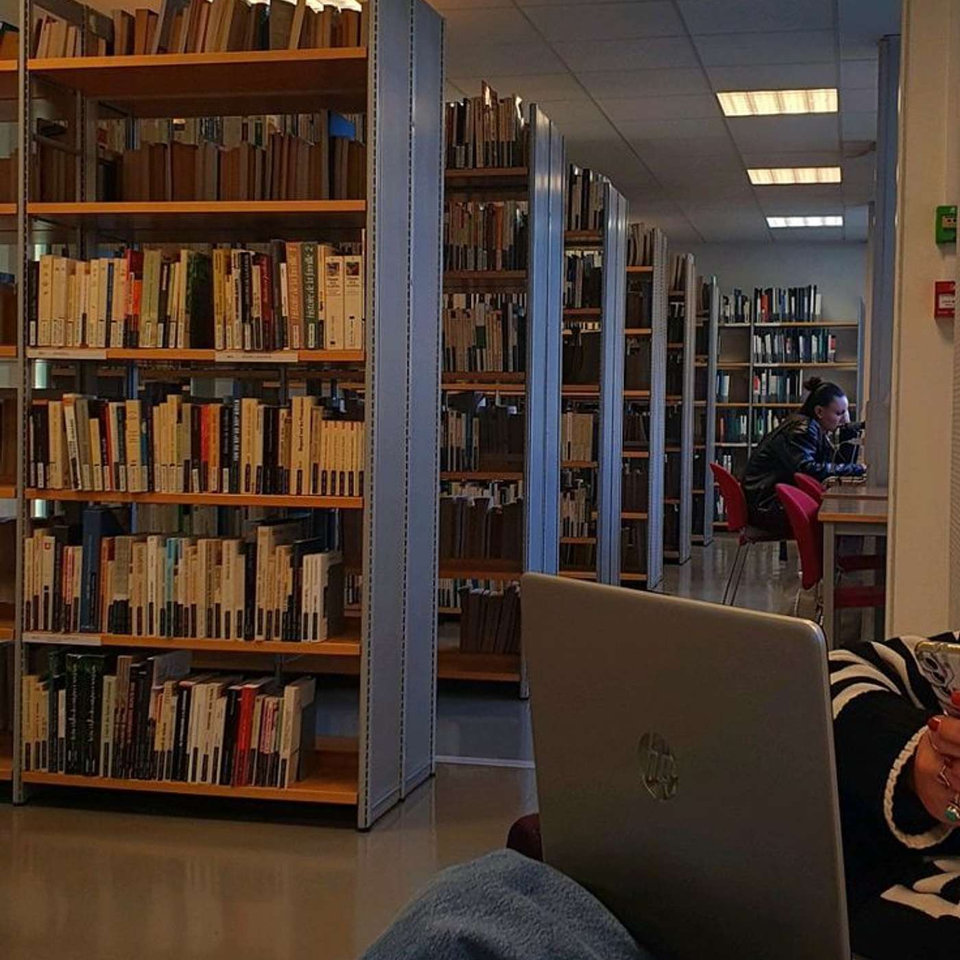 The linguistics corner
