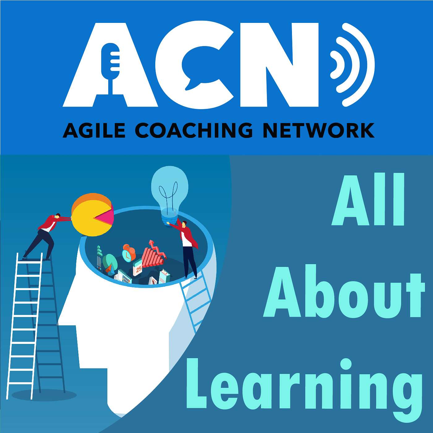 Team and personal learning, moving from scrum master to Agile coach, and moving to enterprise-level coach