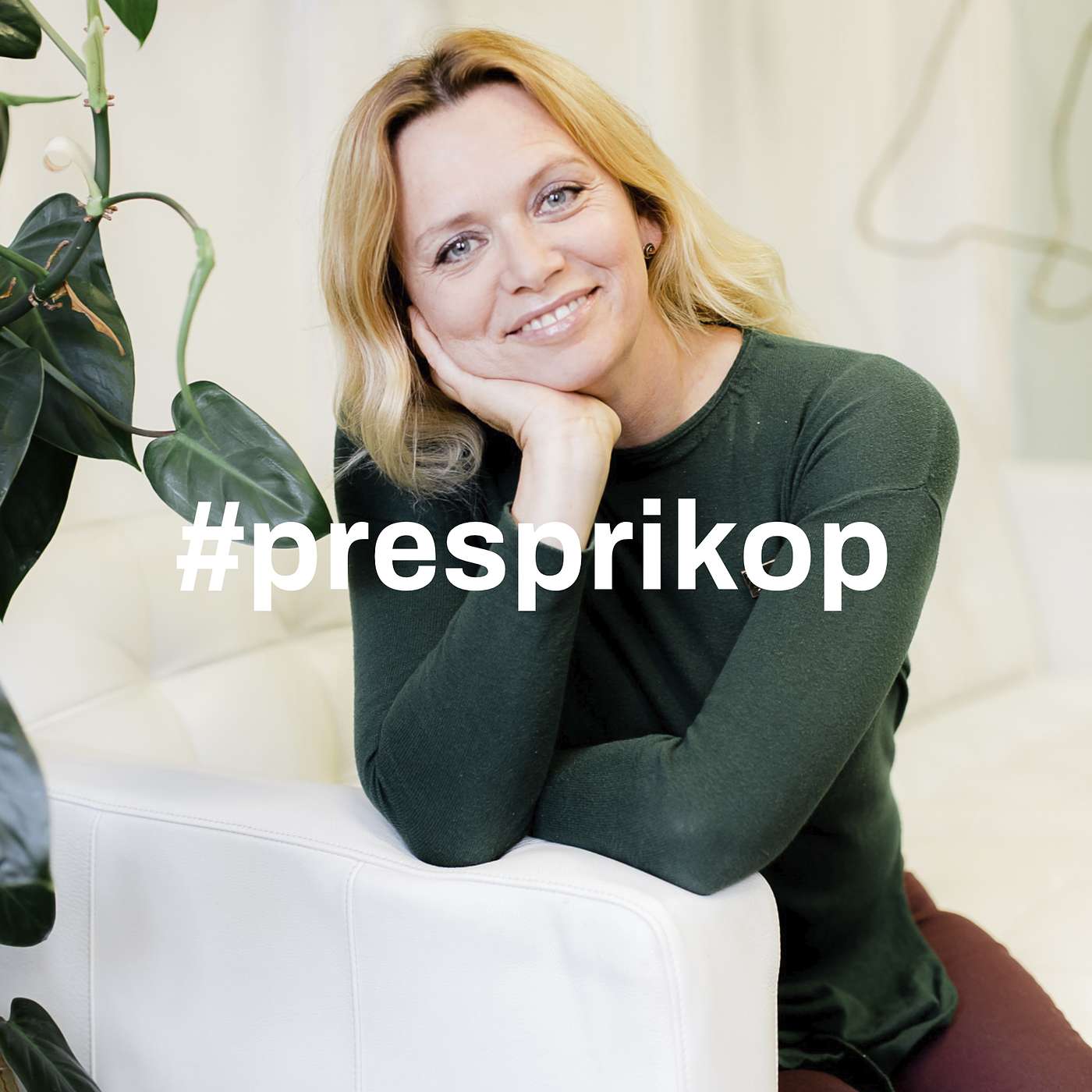 Přes Příkop